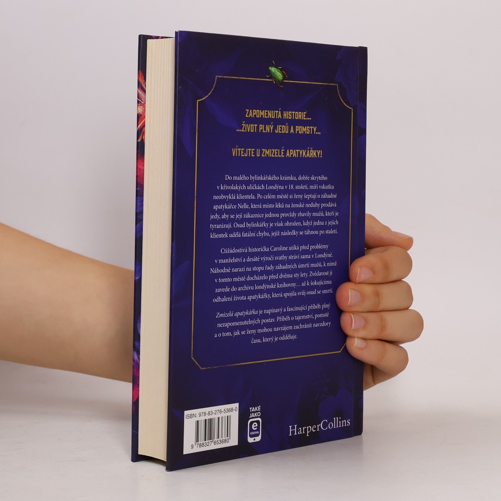 Sarah Penner Zmizelá apatykářka