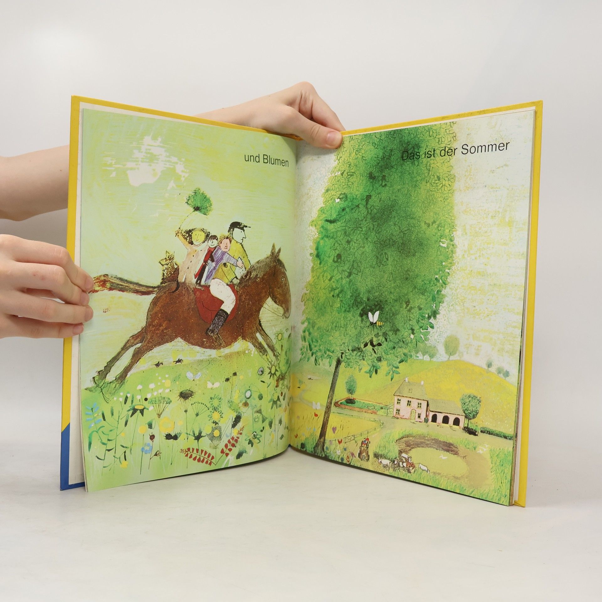 John Burningham So geht das Jahr durchs Land