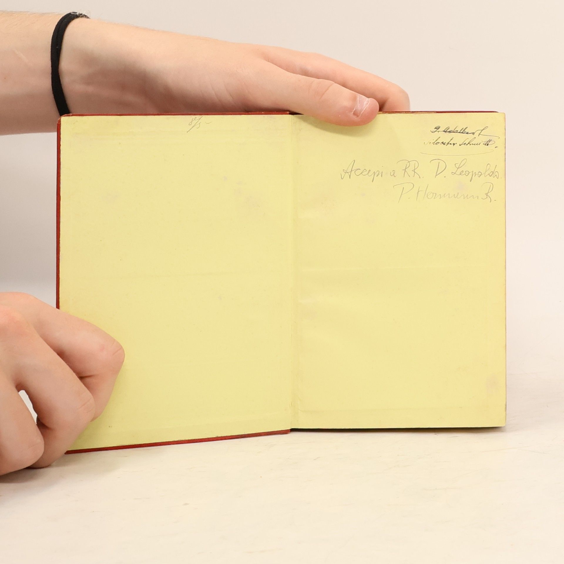 Julius Meurer Petit guide illustré dans Vienne et ses environs