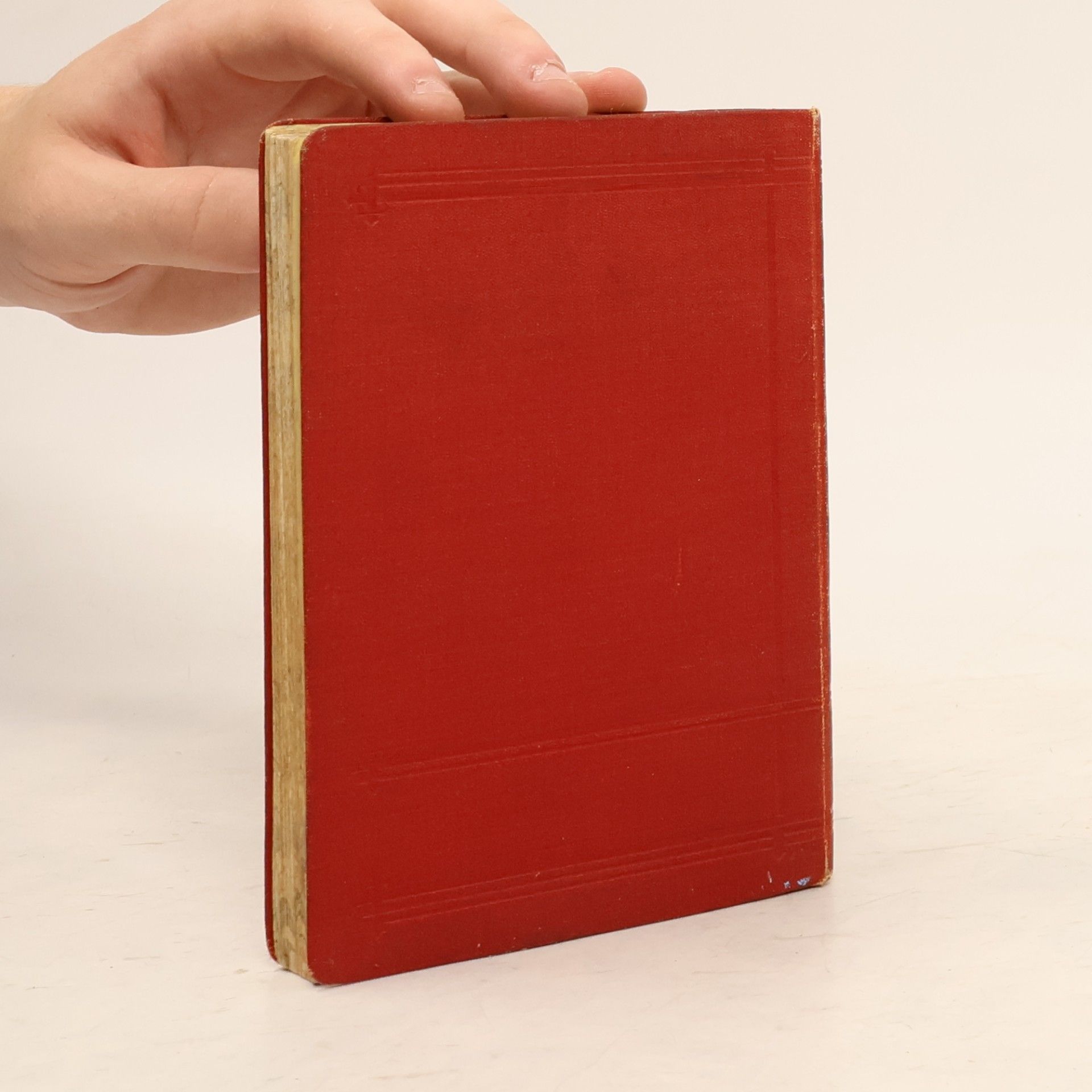 Julius Meurer Petit guide illustré dans Vienne et ses environs