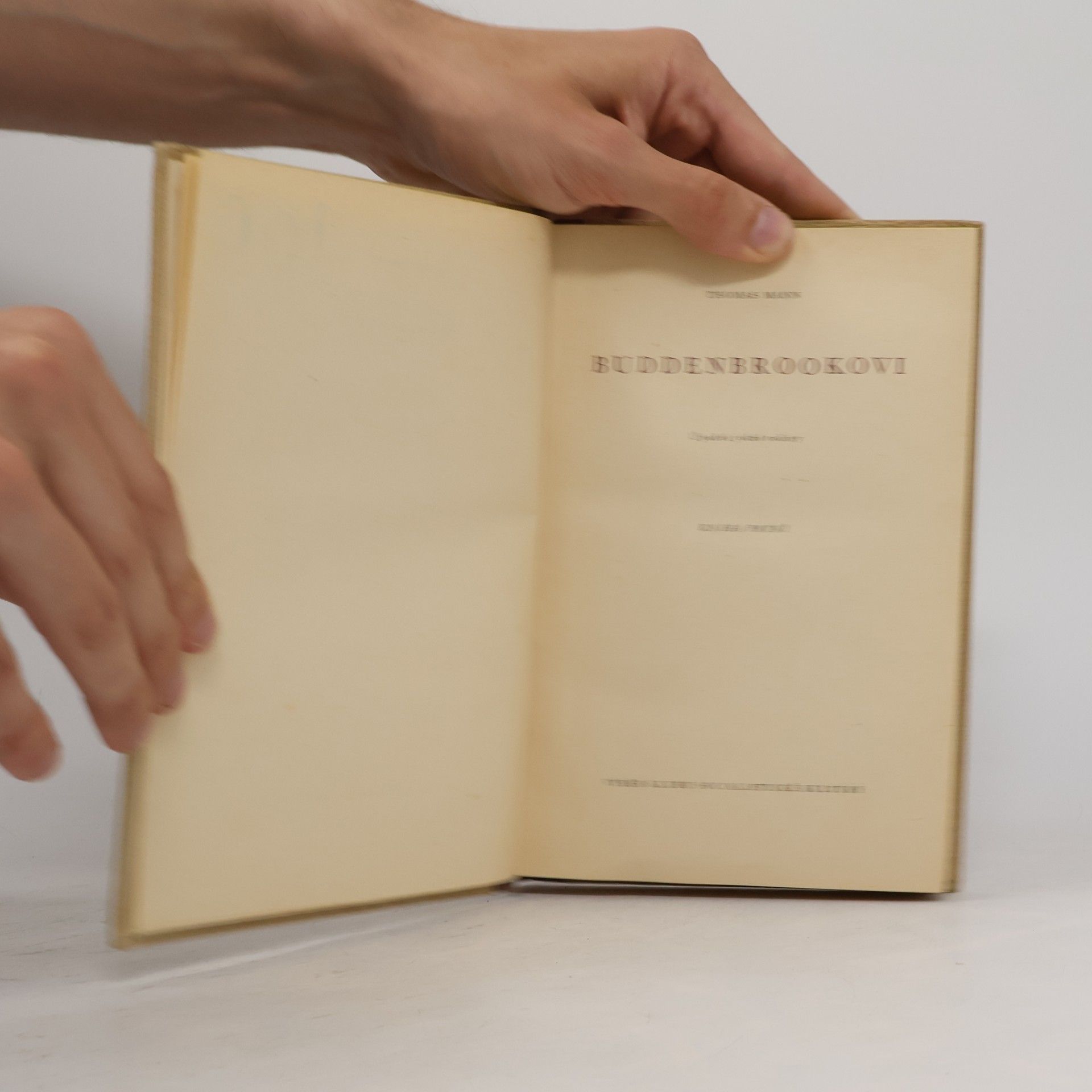 Thomas Mann Buddenbrookovi 1