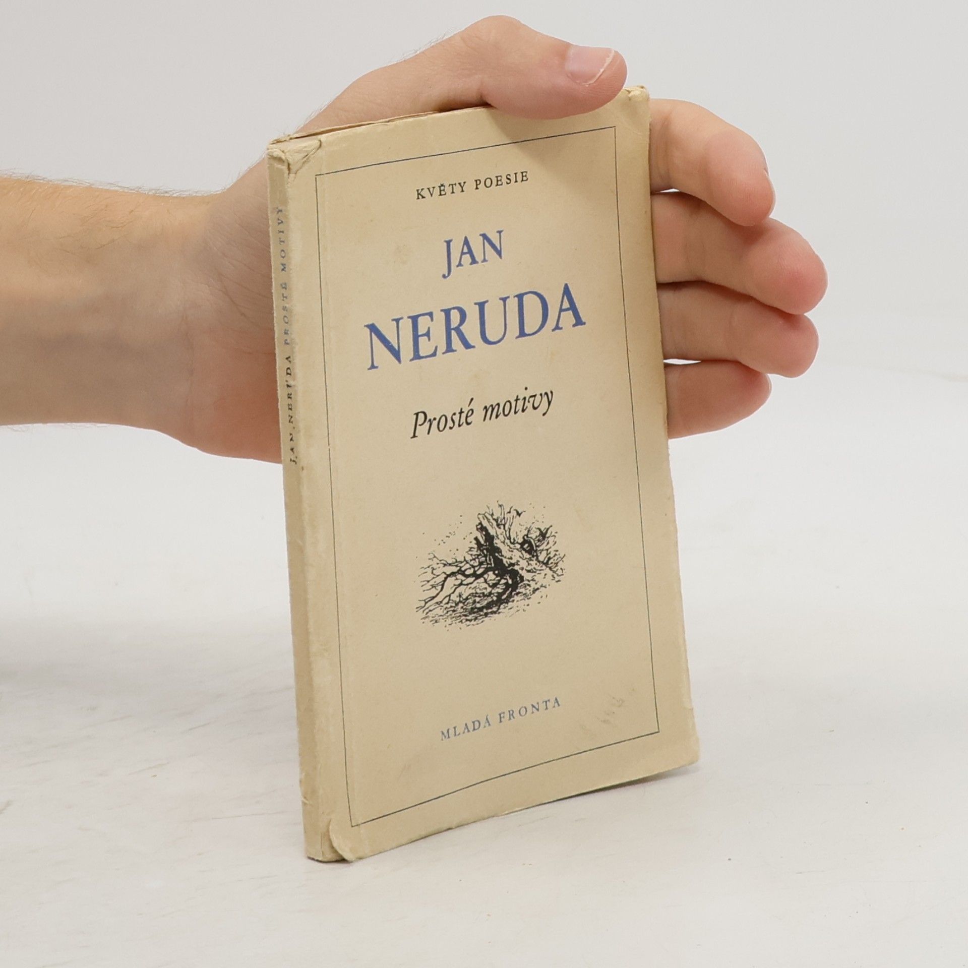 Jan Neruda Prosté motivy