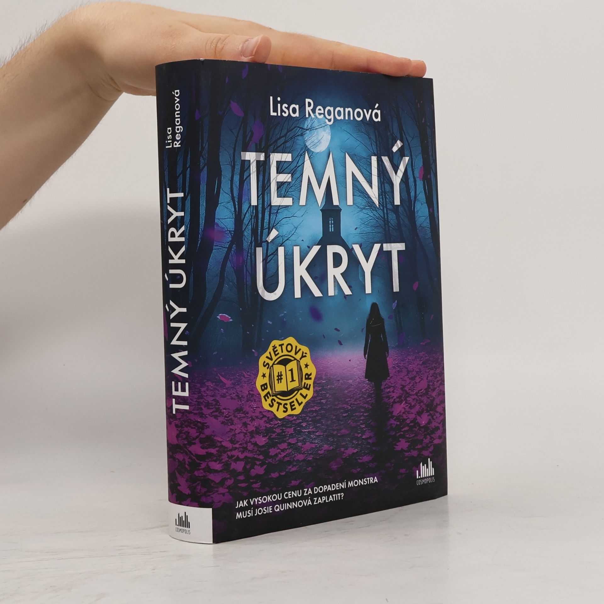 Lisa Regan Temný úkryt
