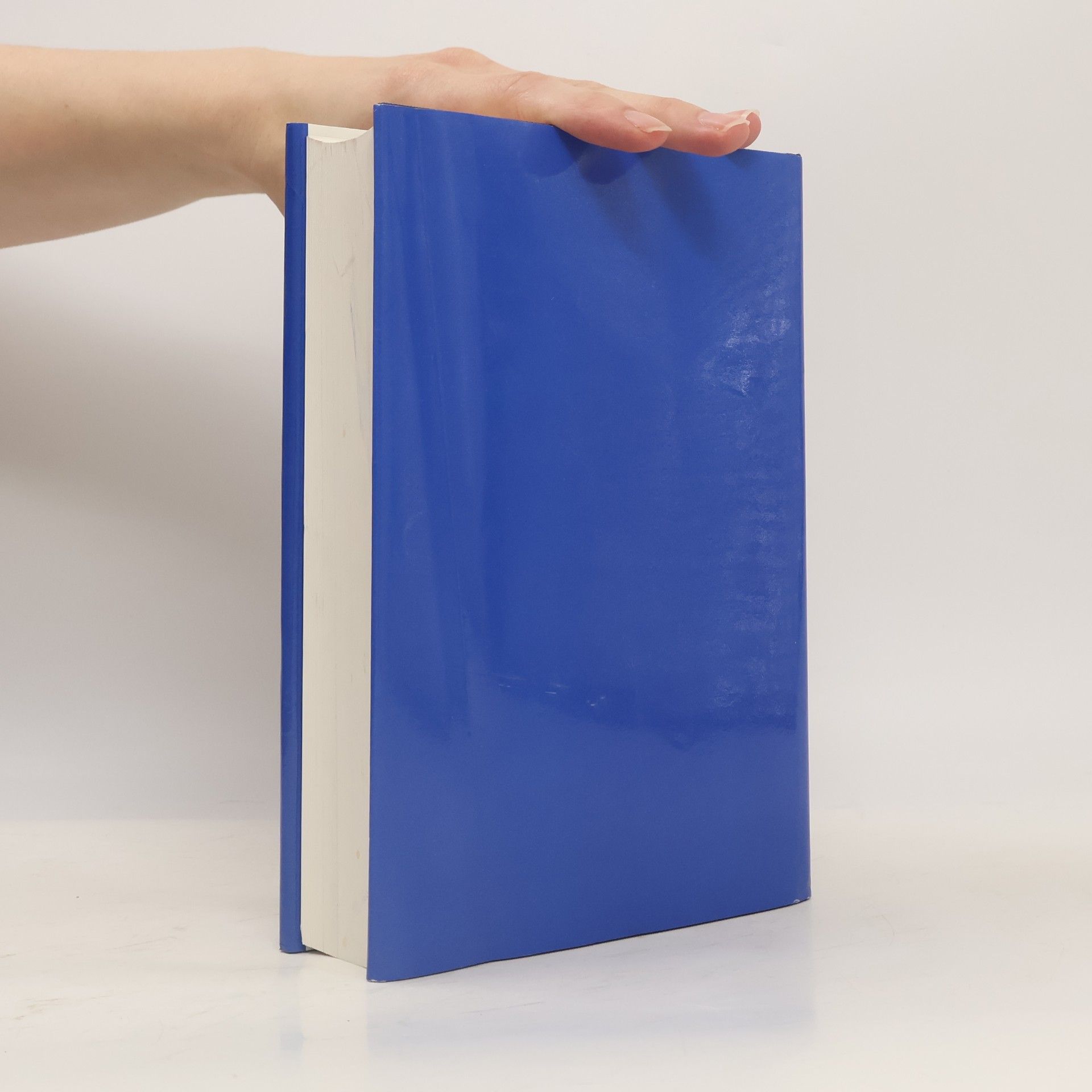 Gertrud Blaschitz Symbole des Alltags - Alltag der Symbole