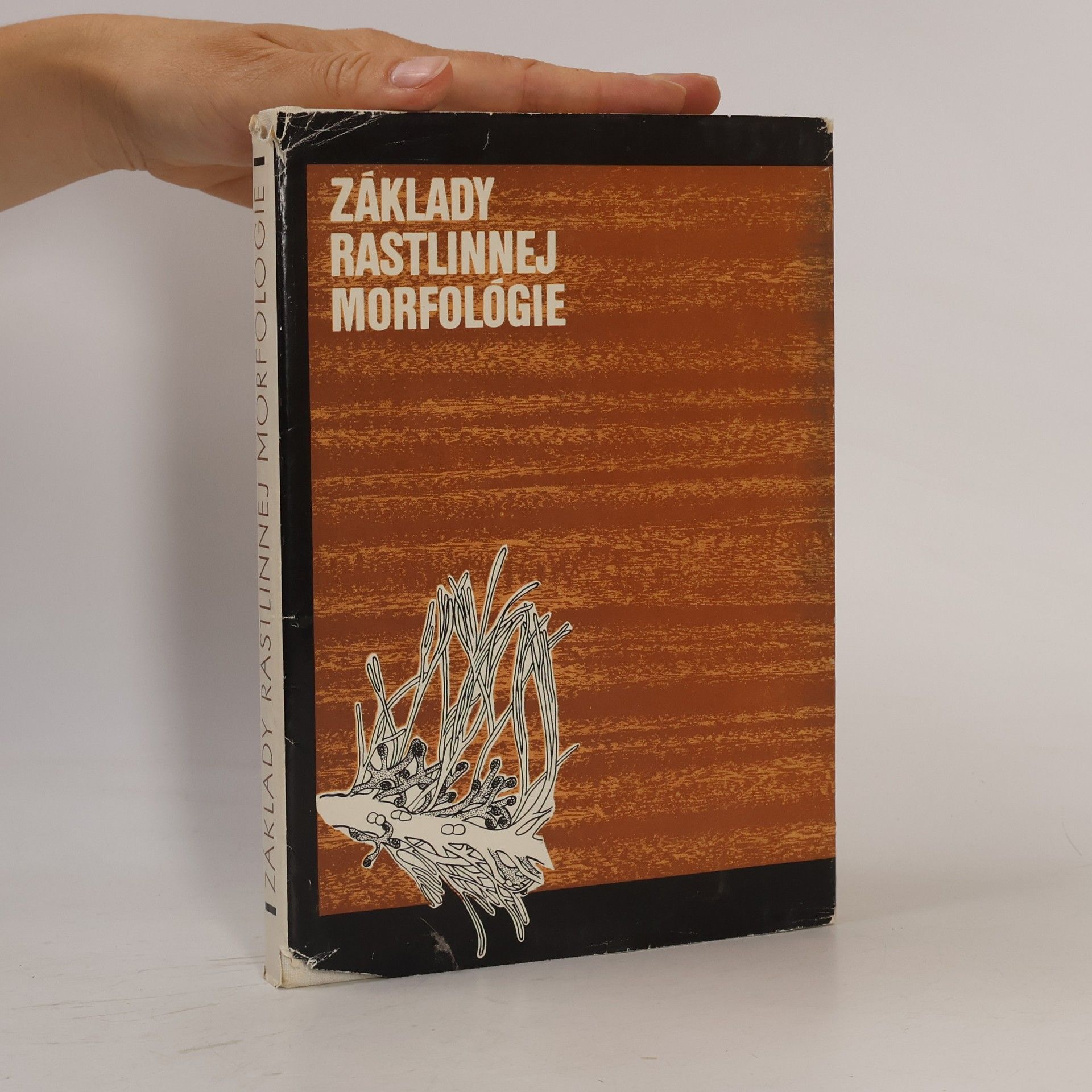 Zdeněk Černohorský Základy rastlinnej morfológie