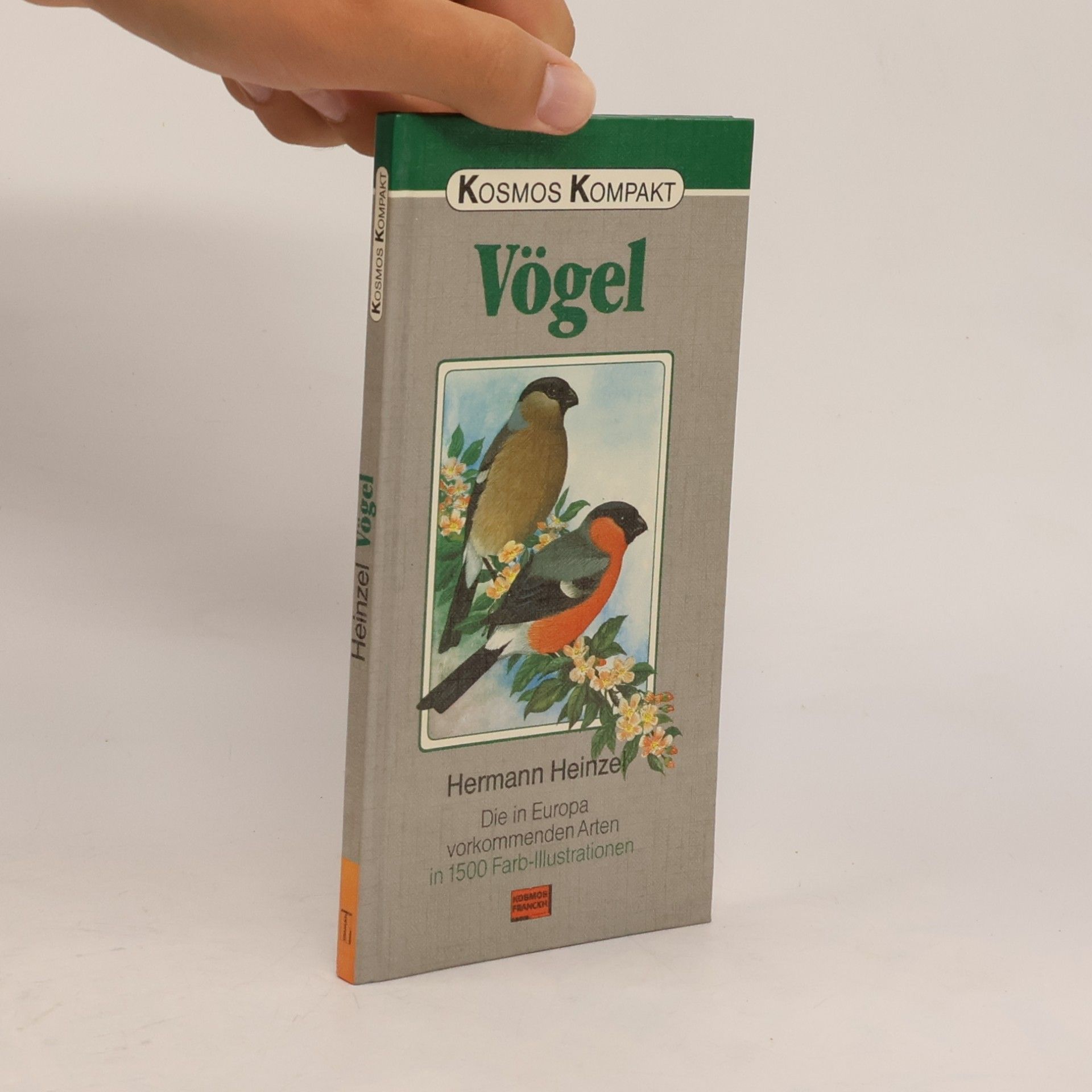 Vögel