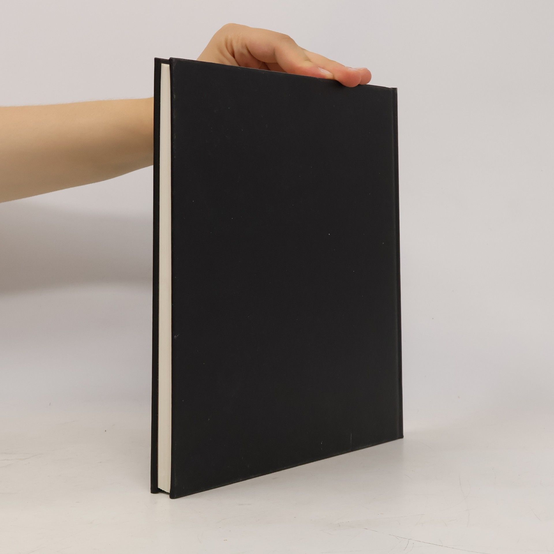 Collectif d'auteurs Agenda Petits Frères 1989