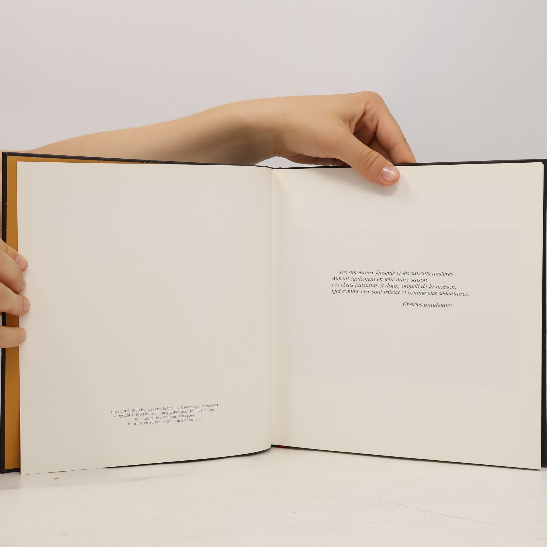 Collectif d'auteurs Agenda Petits Frères 1989