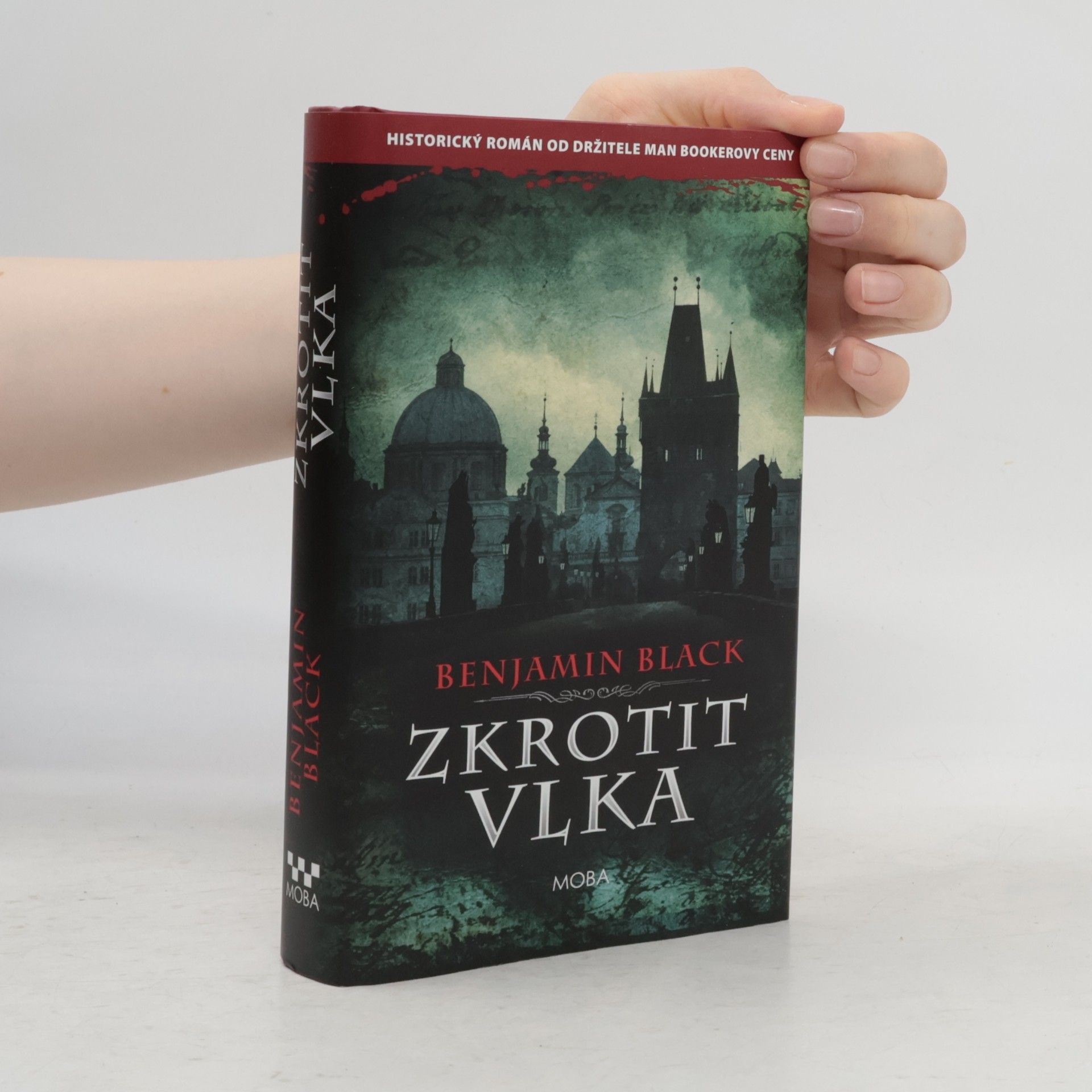 John Banville Zkrotit vlka