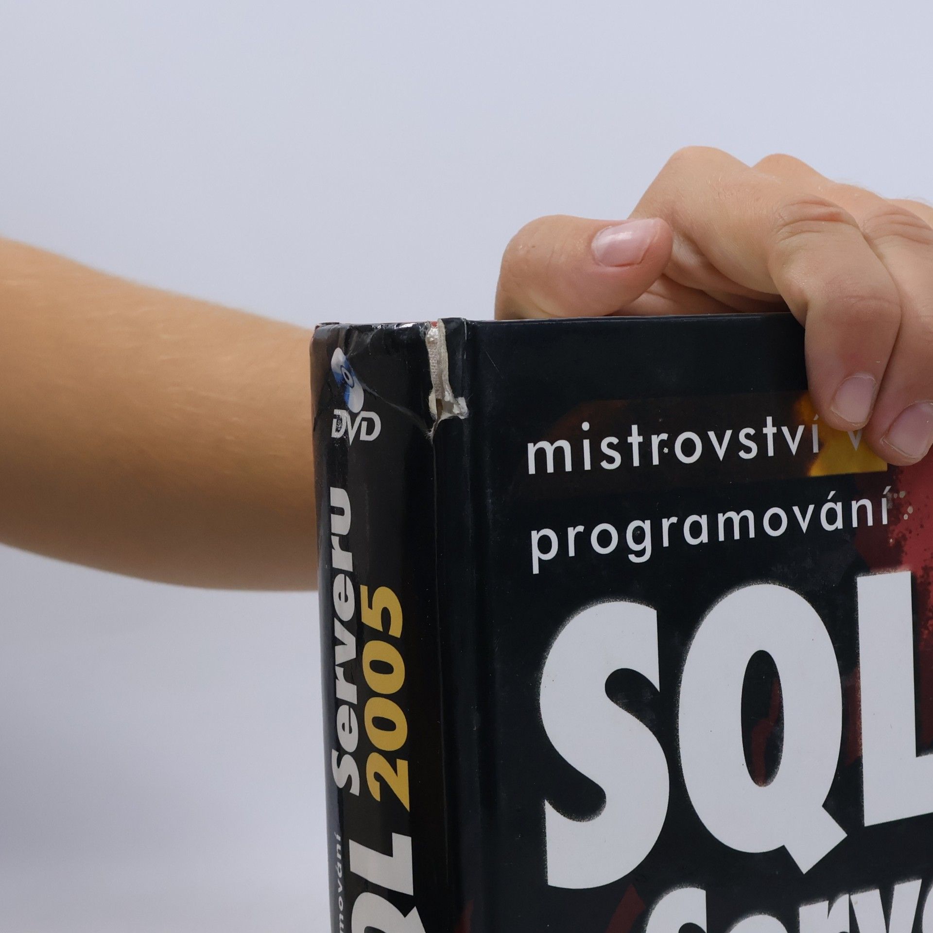 Stephen Forte Mistrovství v programování SQL Serveru 2005