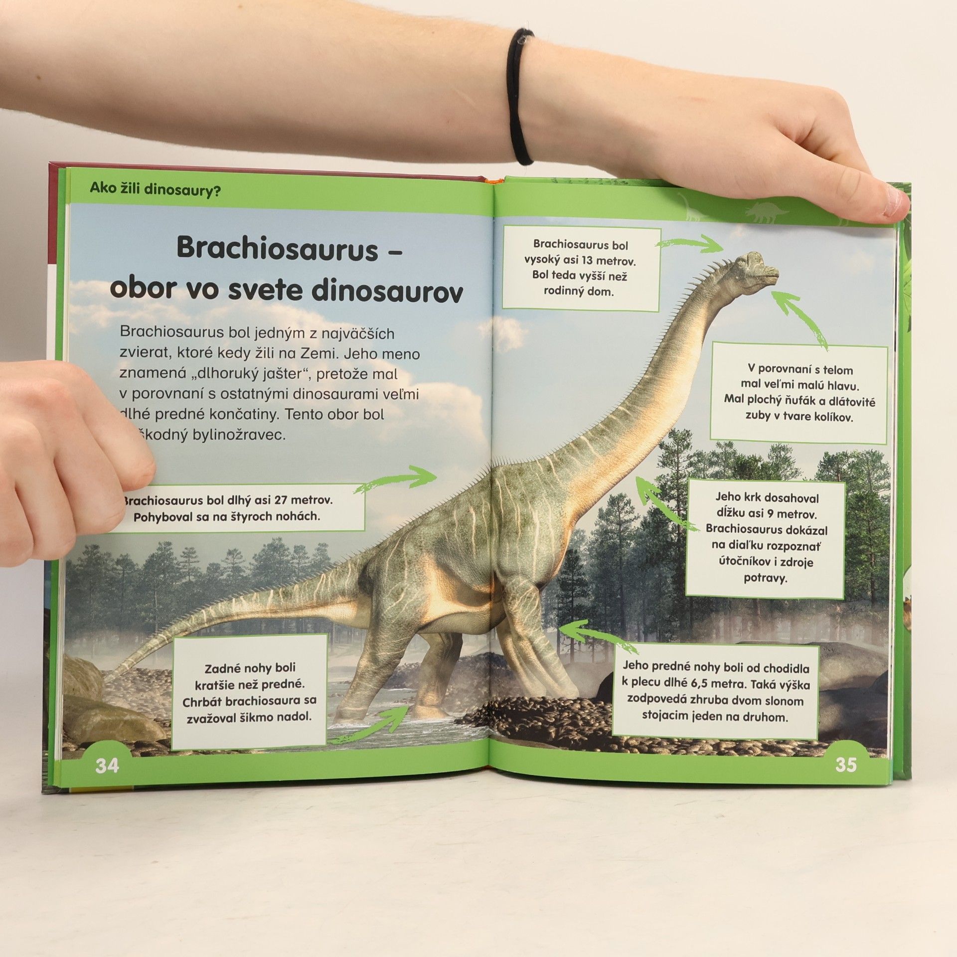 Various authors Učím se číst: Dinosauři