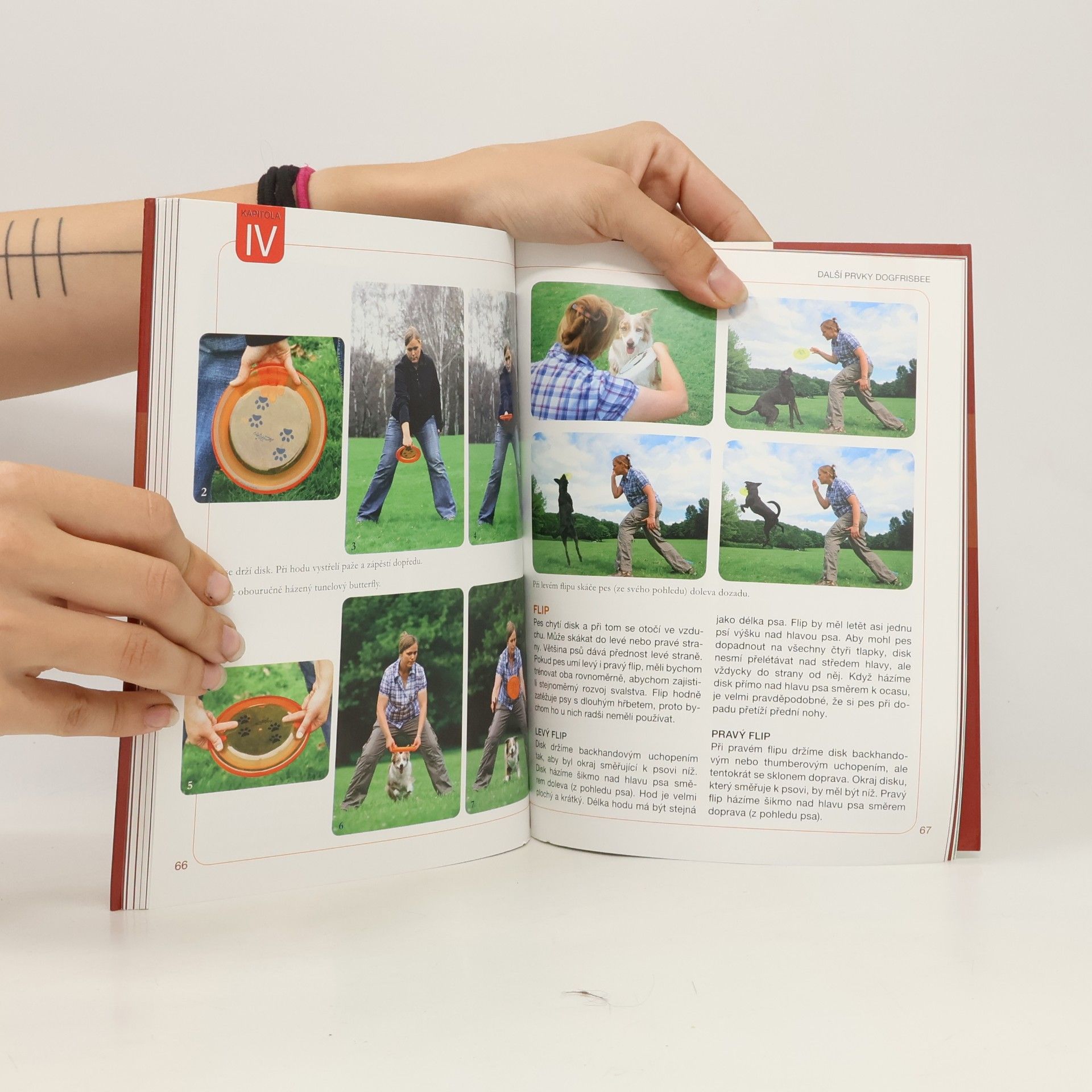 Karin Actun Dogfrisbee: rychlé disky, mrštné skoky