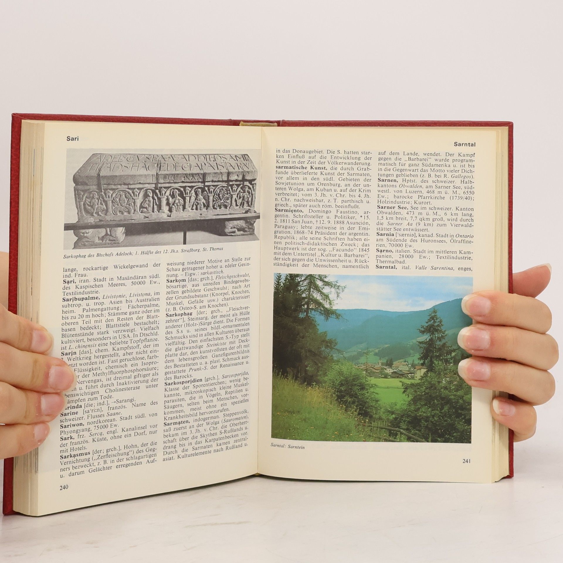 Autorenkollektiv Das moderne Lexikon 16. Rohb-Schul