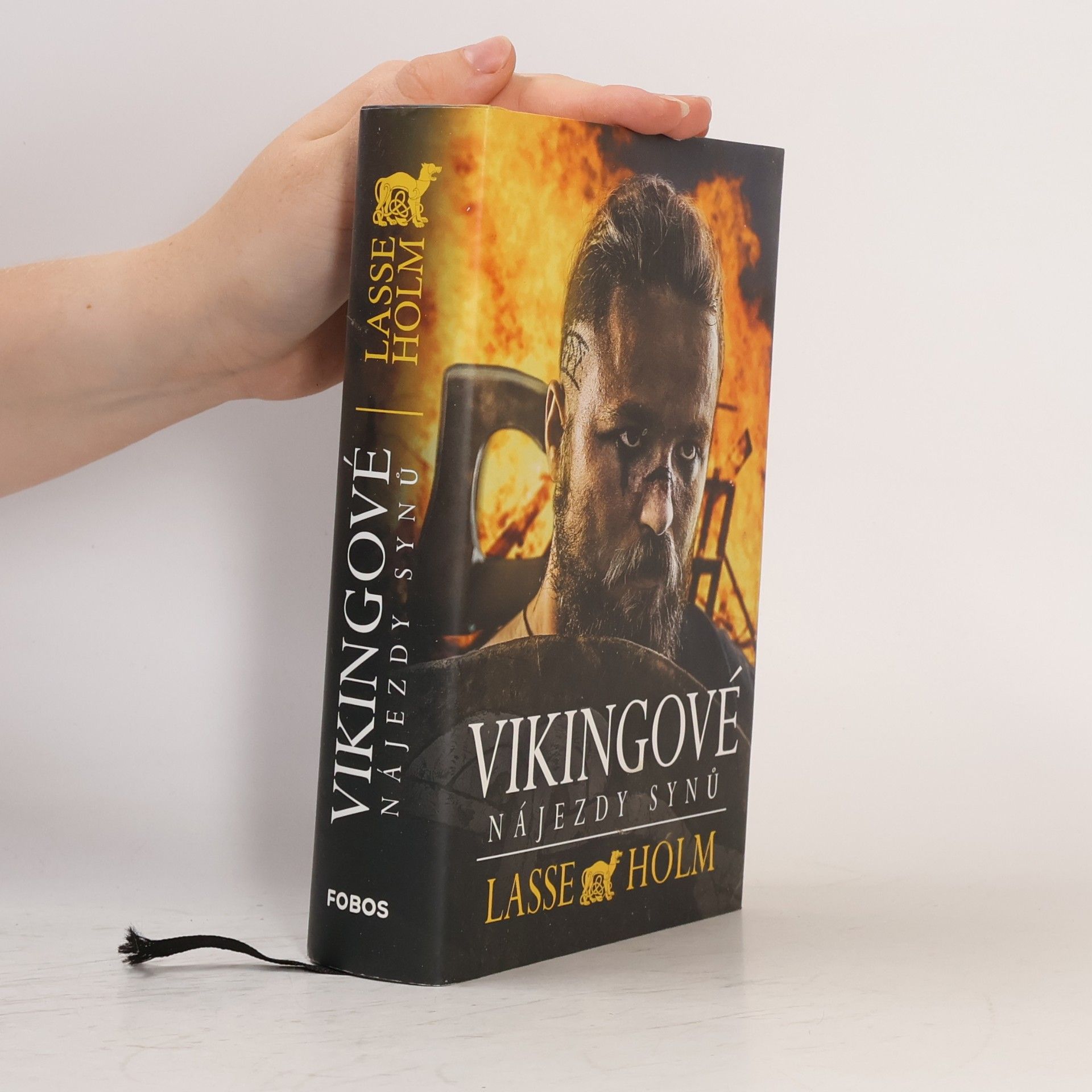 Vikingové. Nájezdy synů