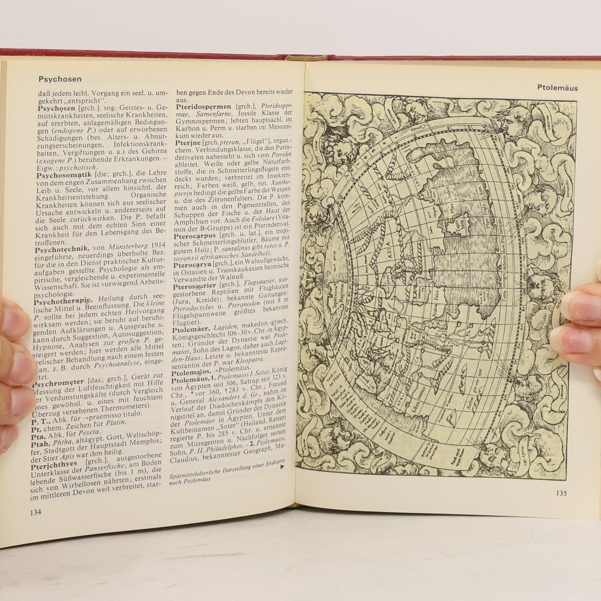 Autorenkollektiv Das Moderne Lexikon. 15. Poly-Roha