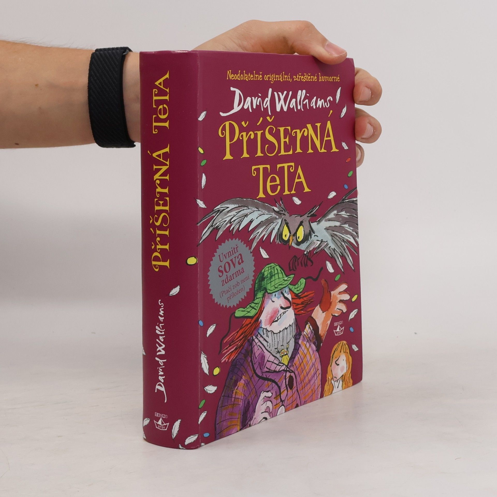 David Walliams Příšerná teta