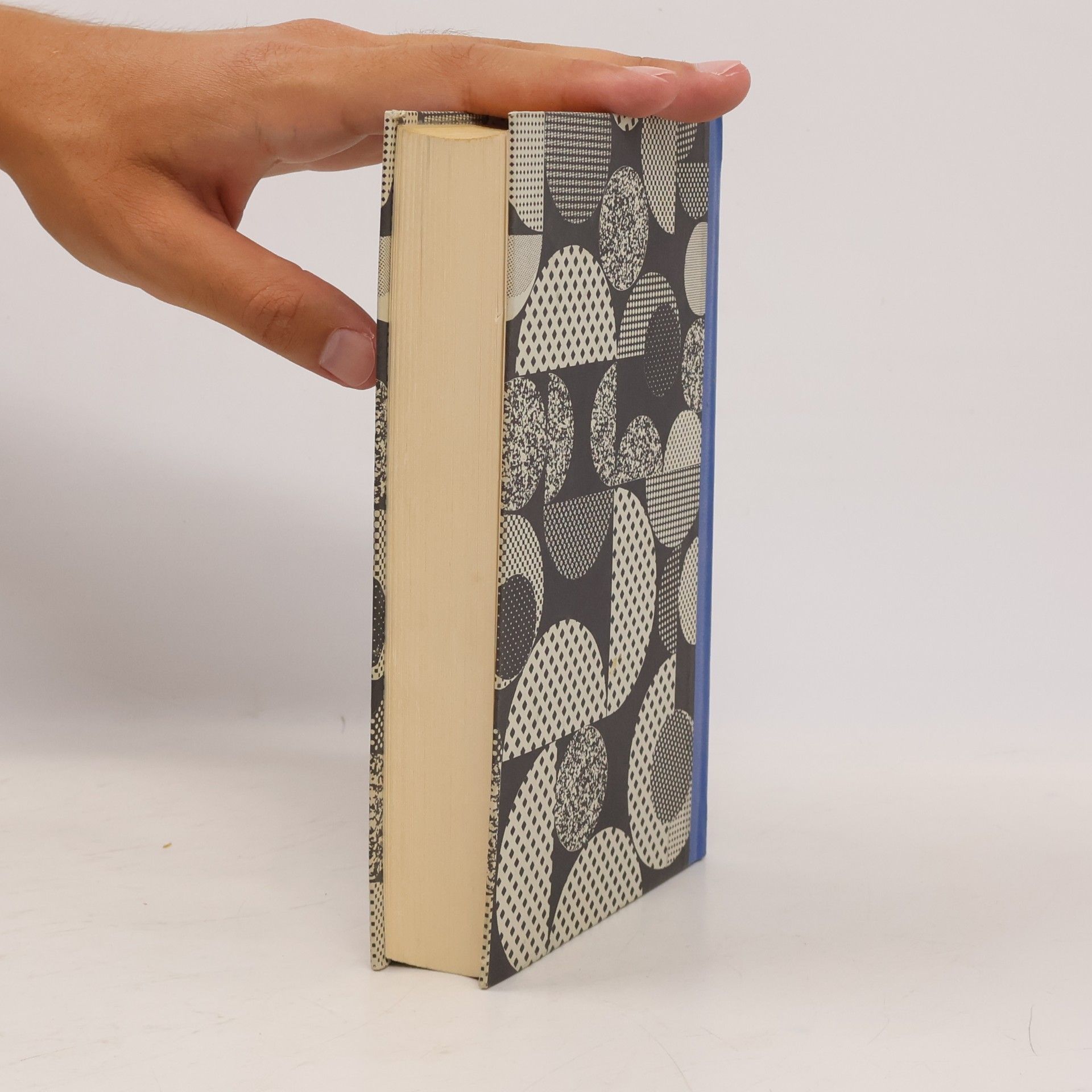Mary McCarthy Der Zauberkreis