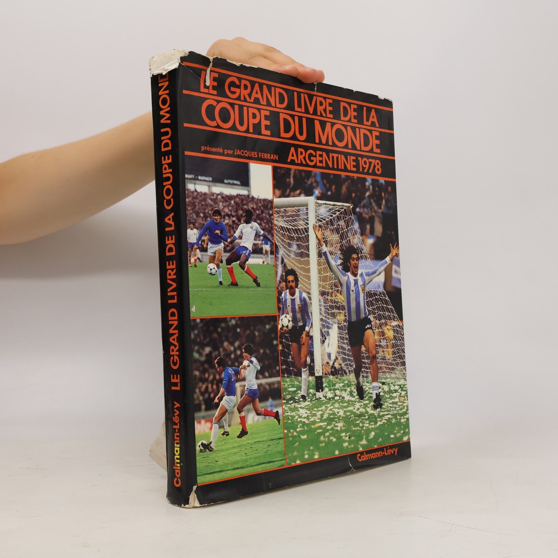 Le Grand livre de la Coupe du monde