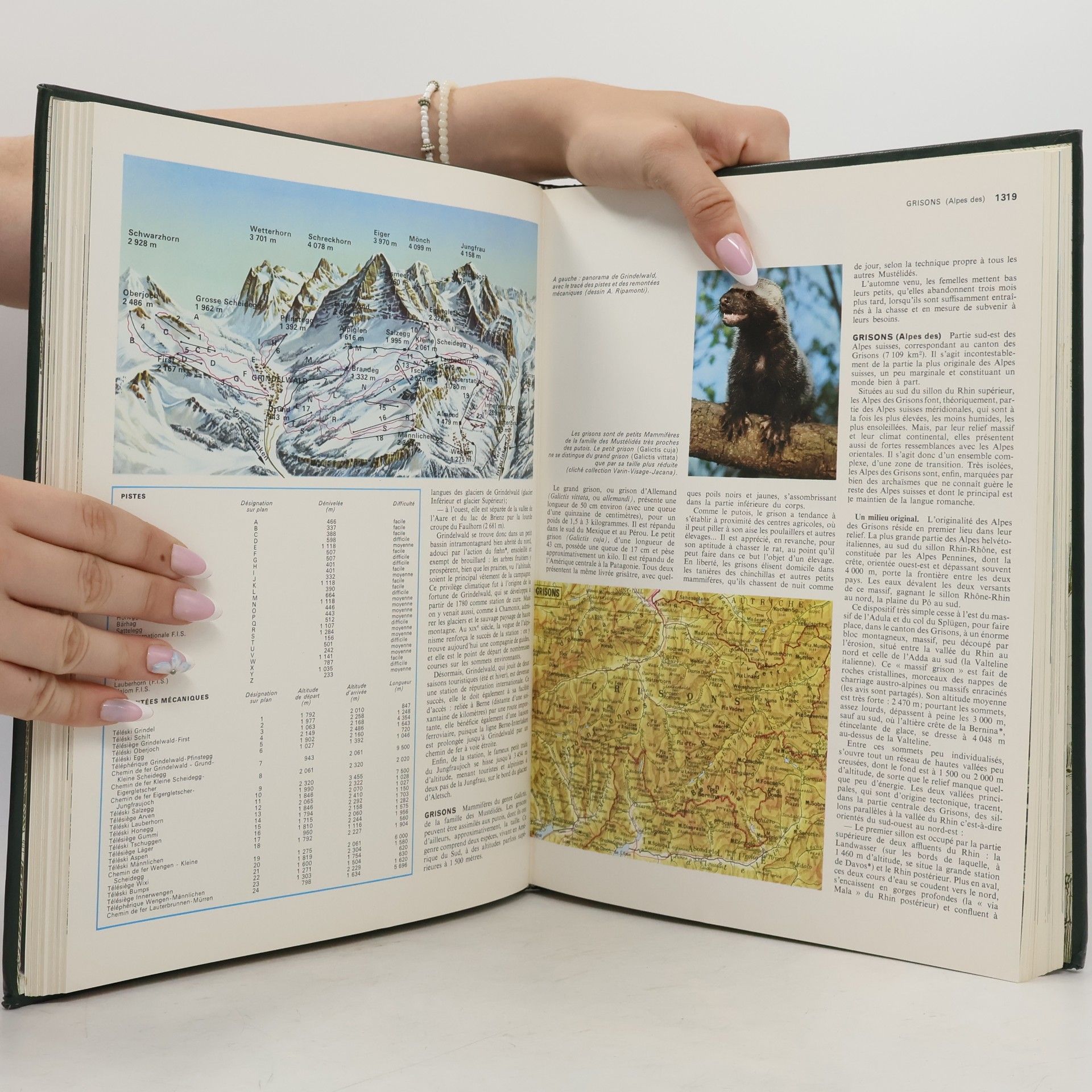 Collectif d'auteurs La montagne 5. Geckoni Int.
