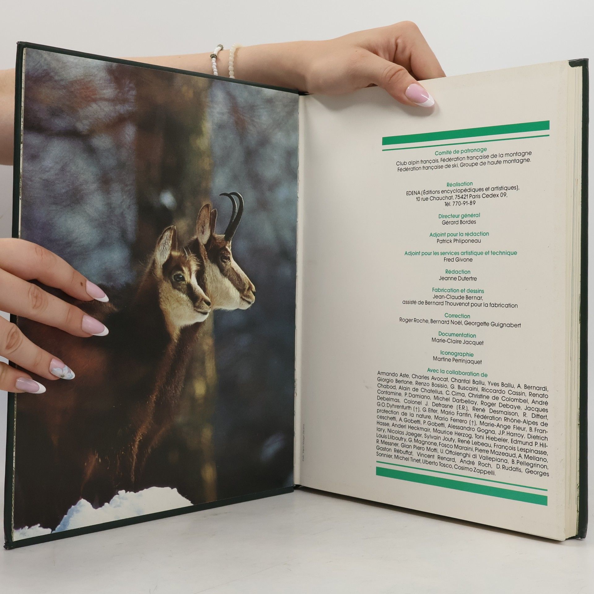 Collectif d'auteurs La montagne 5. Geckoni Int.