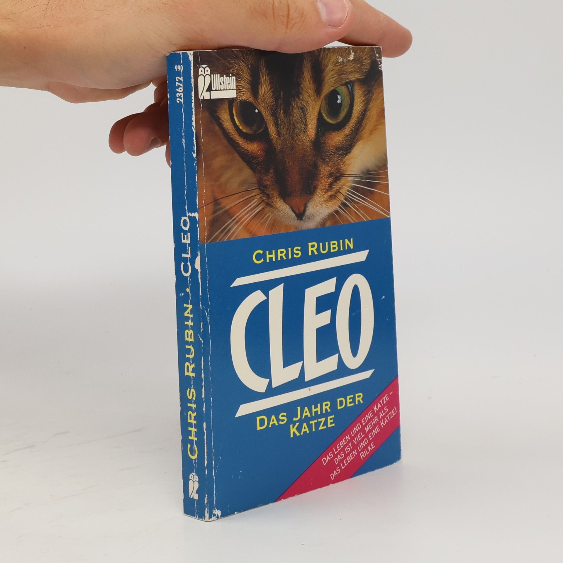Chris Rubin Cleo