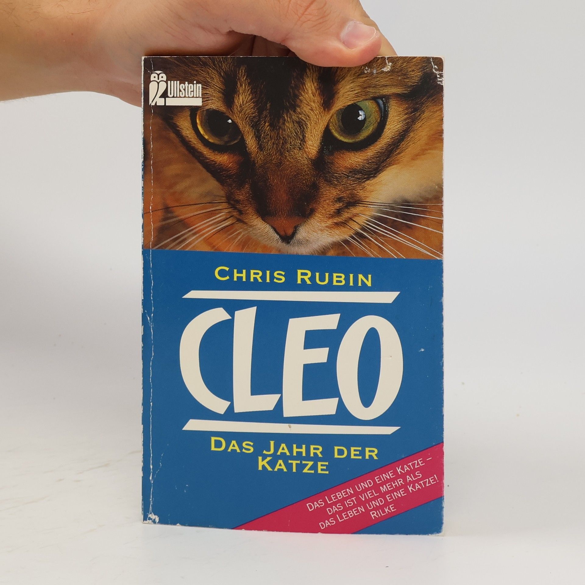 Chris Rubin Cleo