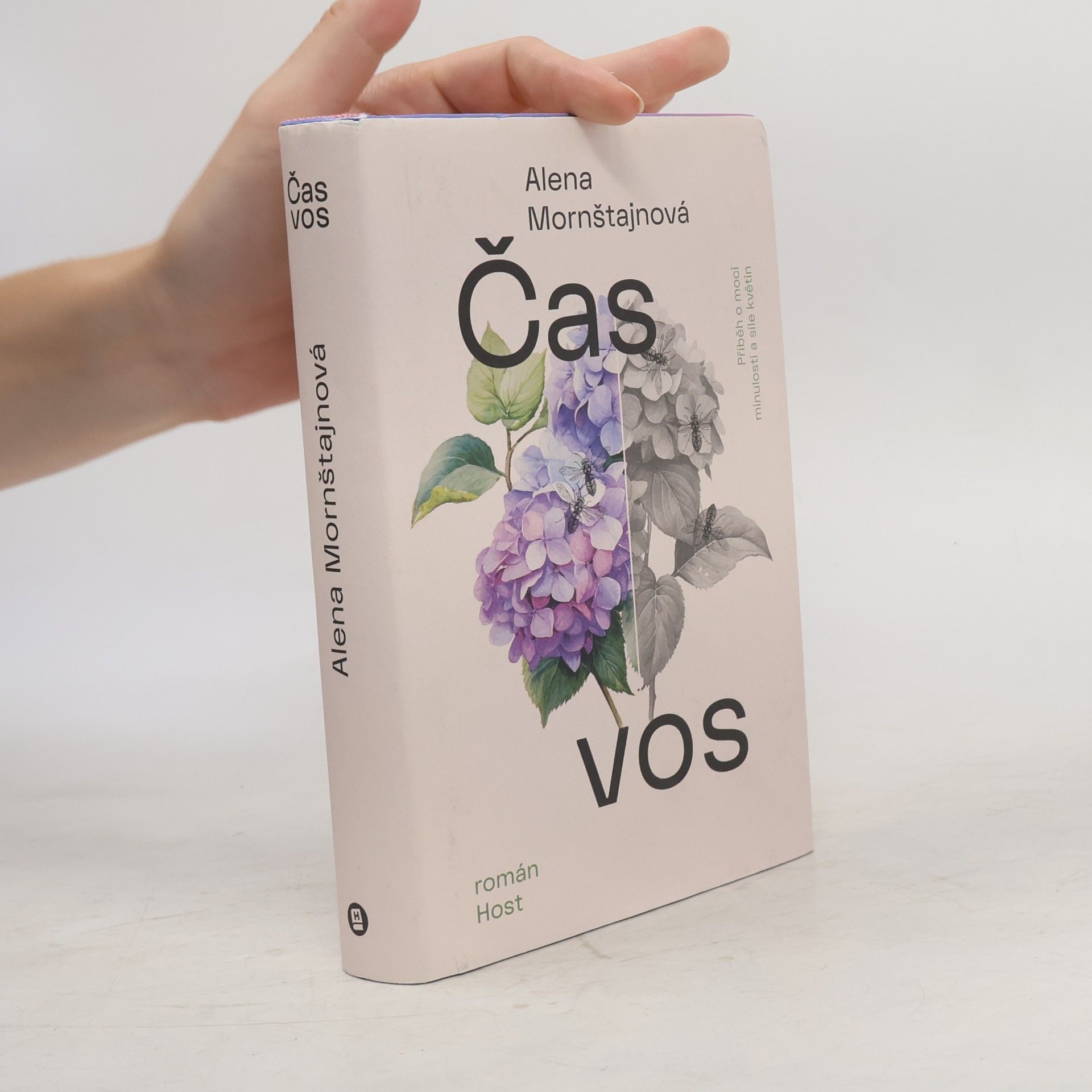 Čas vos