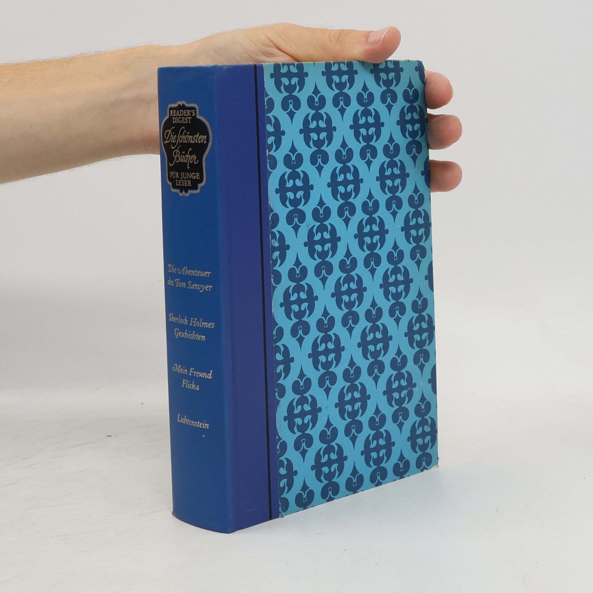 Mark Twain Die schönsten Bücher für junge Leser