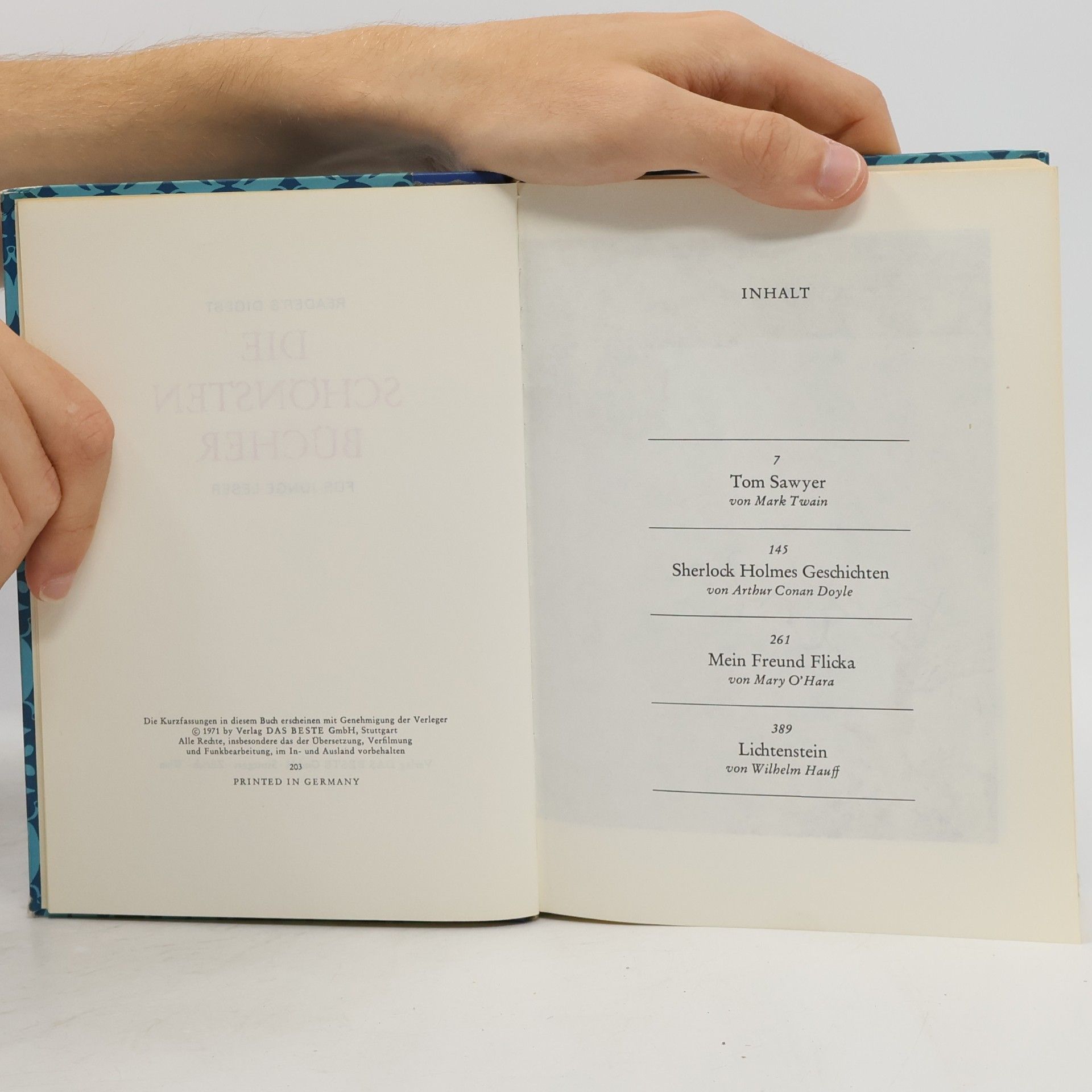Mark Twain Die schönsten Bücher für junge Leser