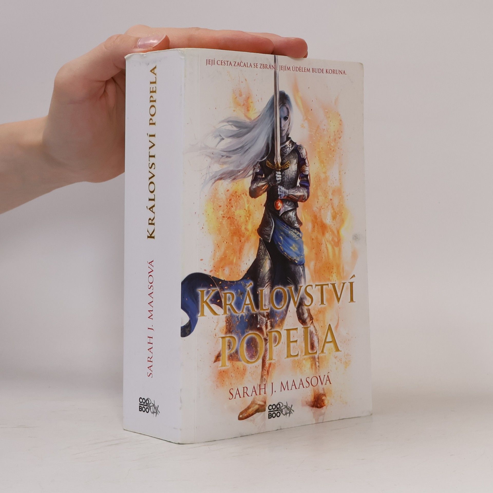 Sarah J. Maas Království popela
