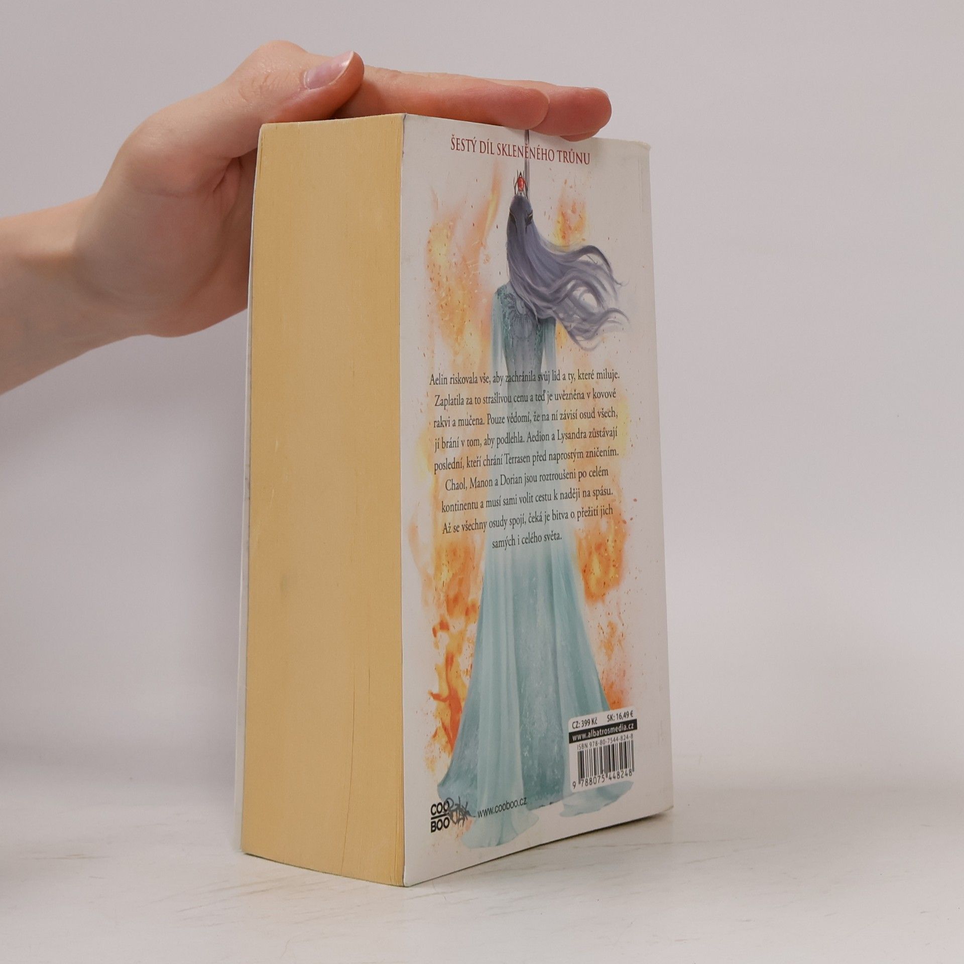 Sarah J. Maas Království popela