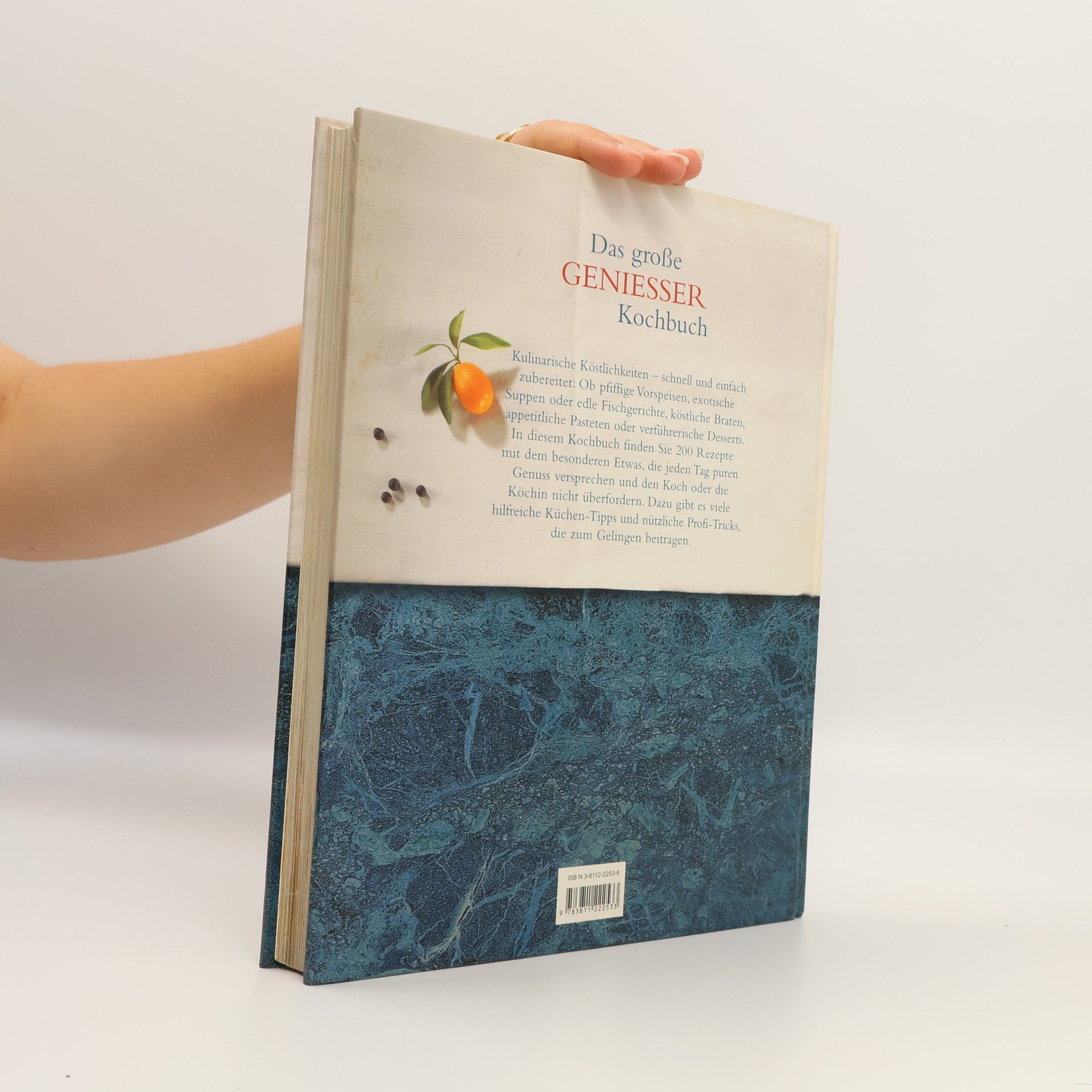 Collectif d'auteurs Das große Geniesser Kochbuch