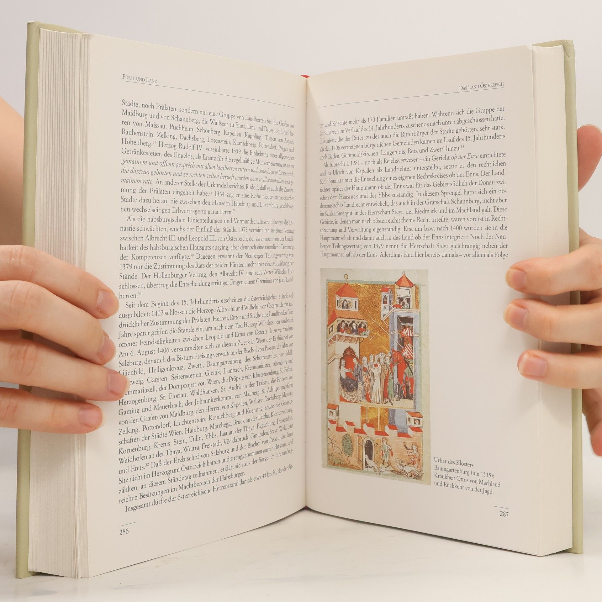 Alois Niederstätter Österreichische Geschichte 1278 - 1411