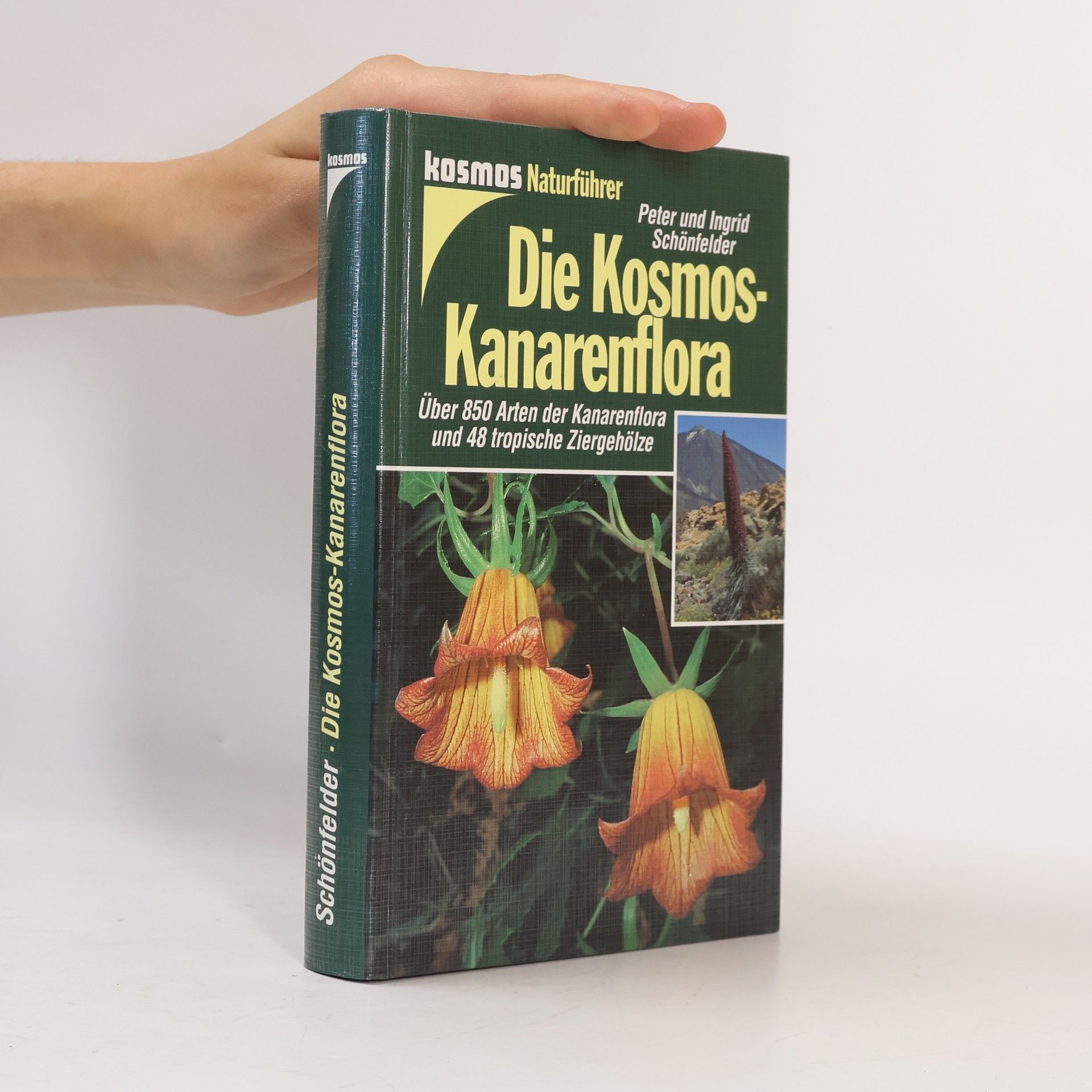 Peter Schönfelder Die Kosmos-Kanarenflora