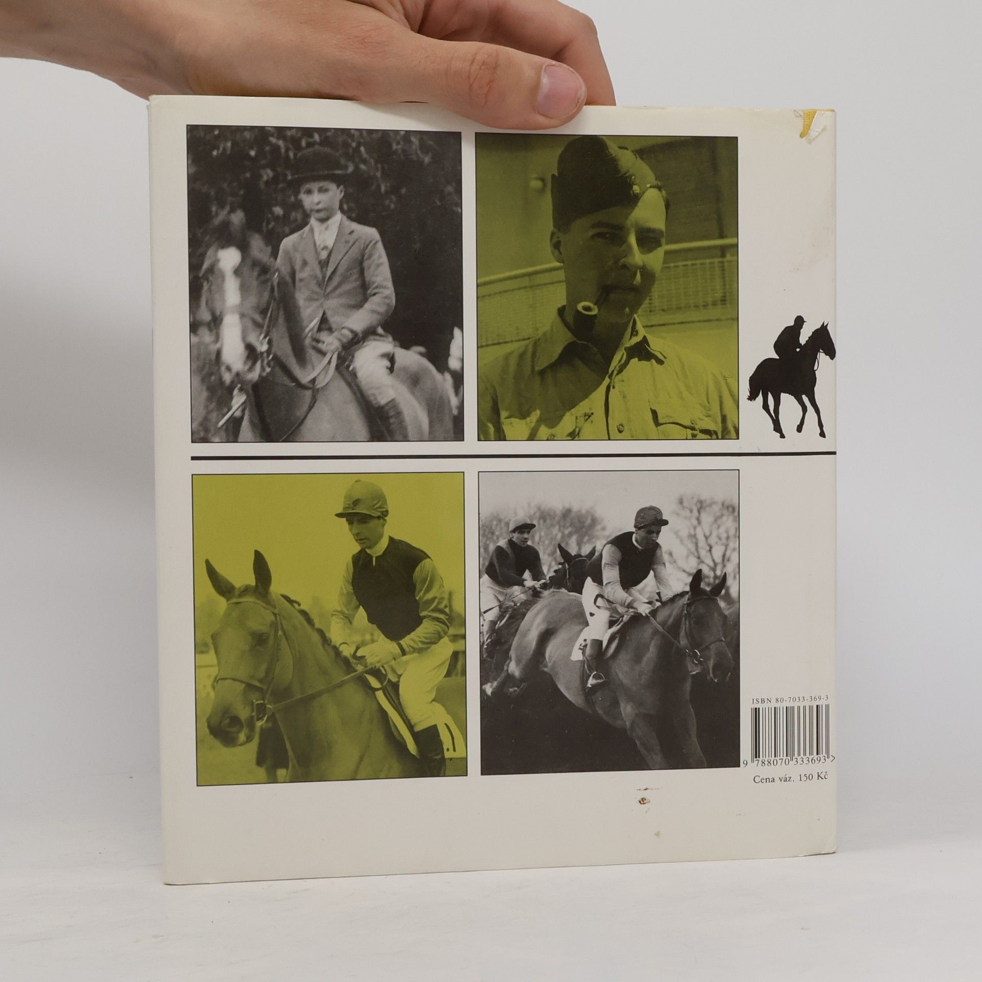 Bryony Fuller Dick Francis: žokej steeplechase