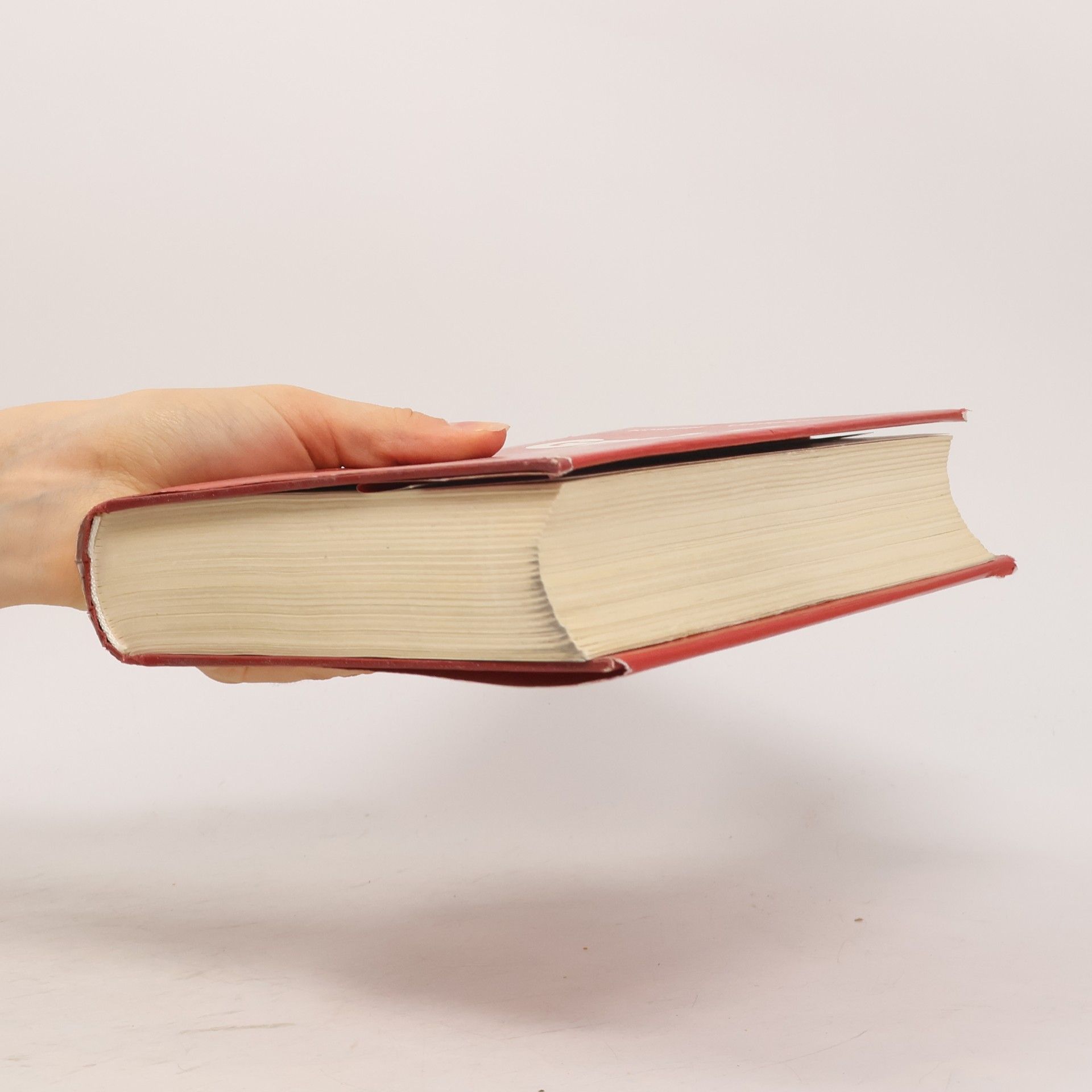 Alfred Kostner GmbH Handbuch für die Praxis mit Beispielteil
