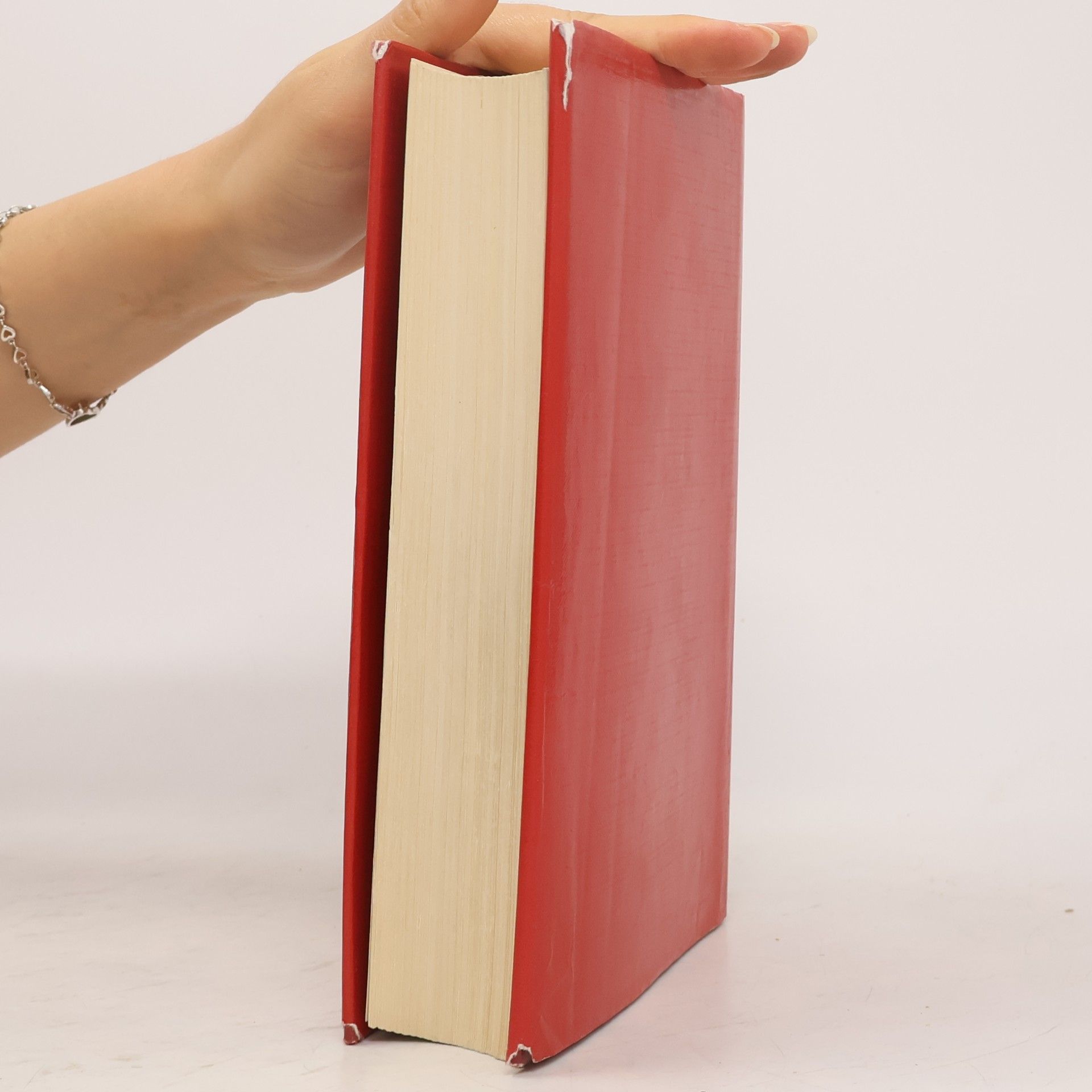 Alfred Kostner GmbH Handbuch für die Praxis mit Beispielteil