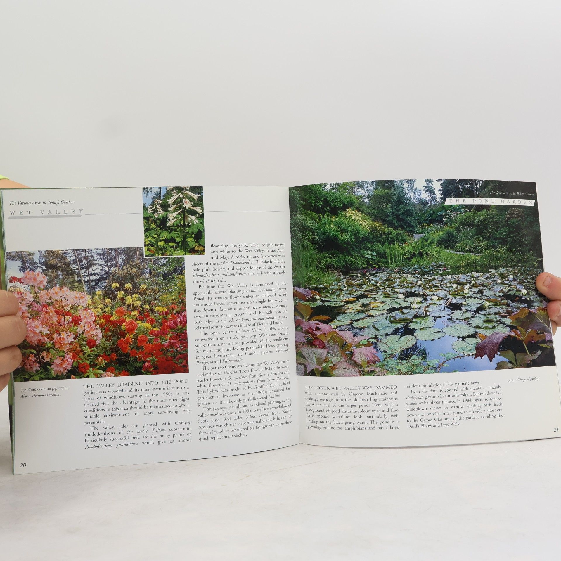 Collectif d'auteurs Inverewe