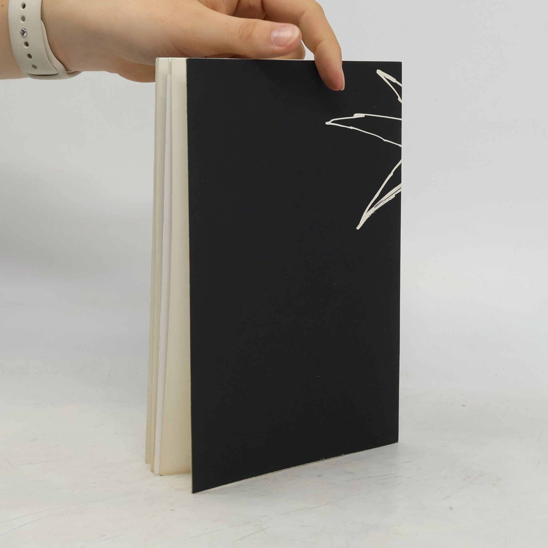 Jiří Grygar Velký třesk a Bible