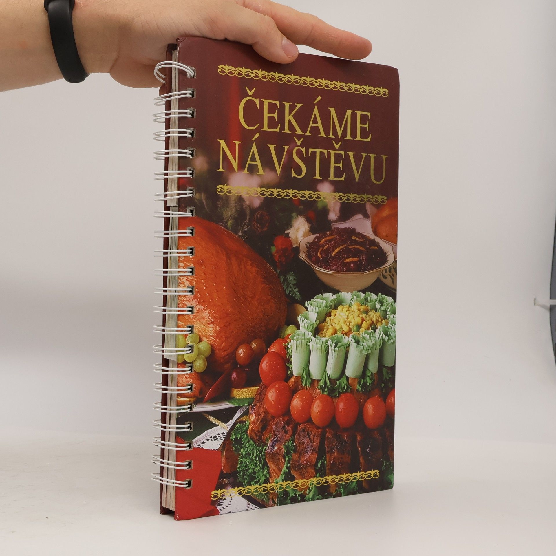 Oxana Uzunová Čekáme na návštěvu