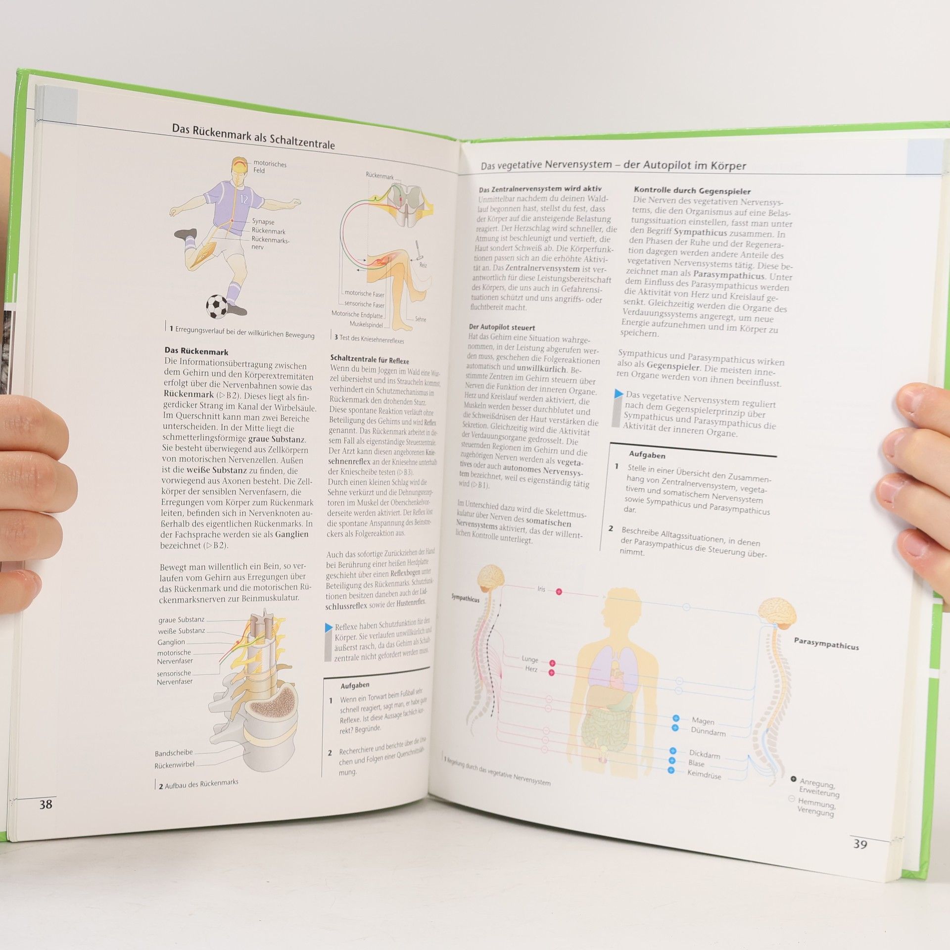 Various authors Prisma Biologie. Ausgabe für Bayern. Schülerbuch 7. Schuljahr