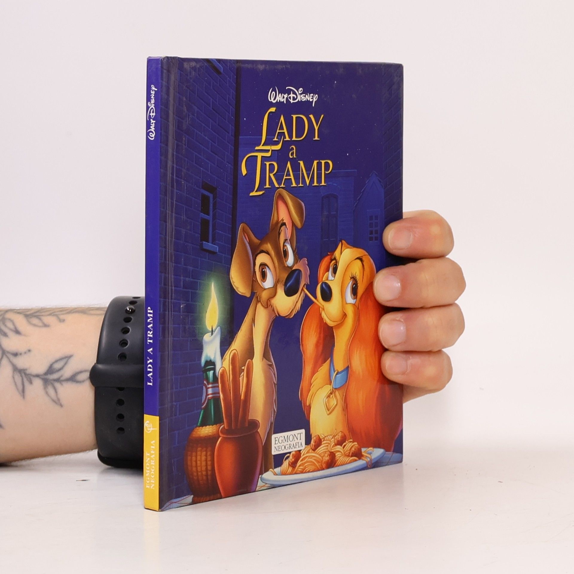Walt Disney Lady a Tramp