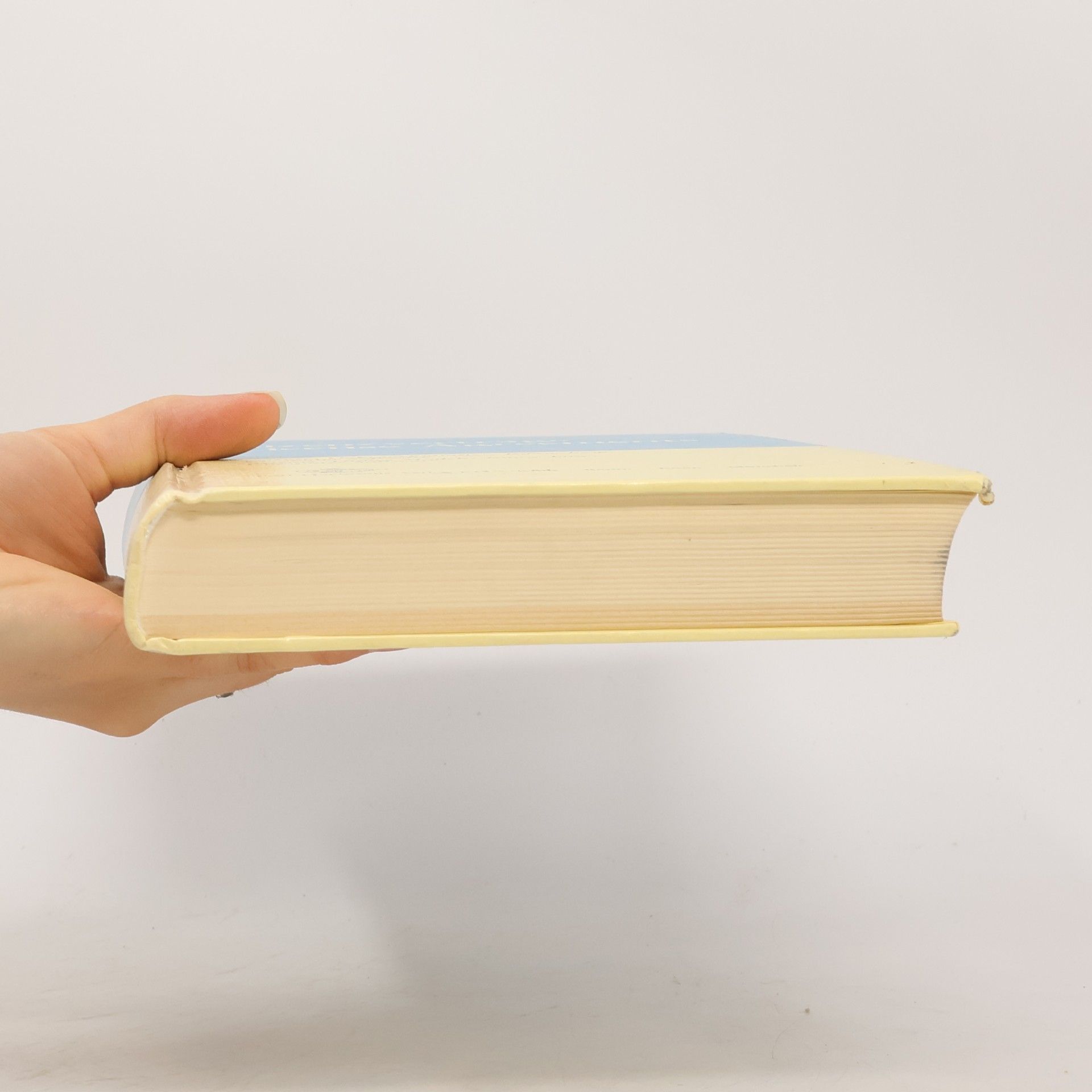 Jochen Pagenberg Lizenzverträge / License Agreements