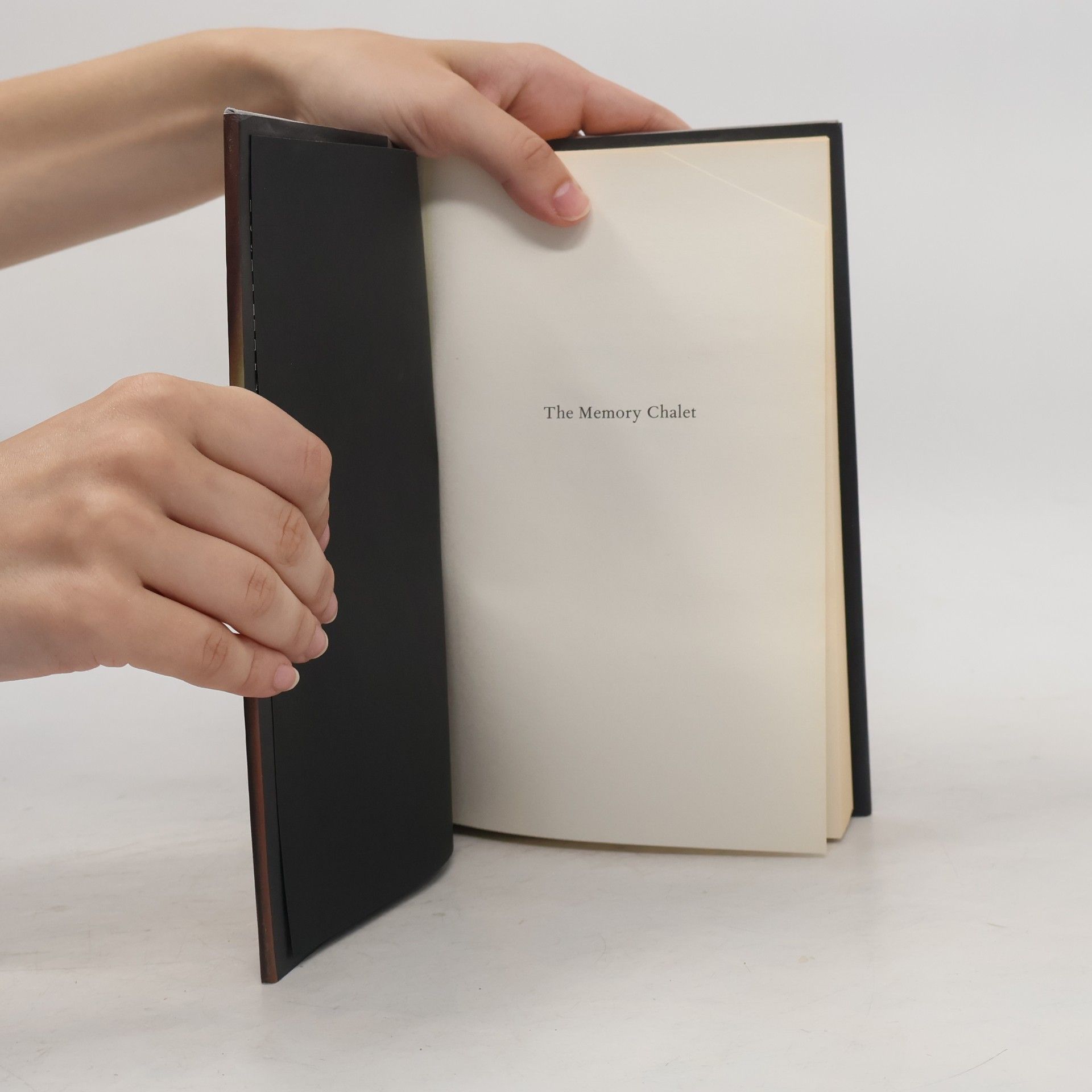 Tony Judt The Memory Chalet