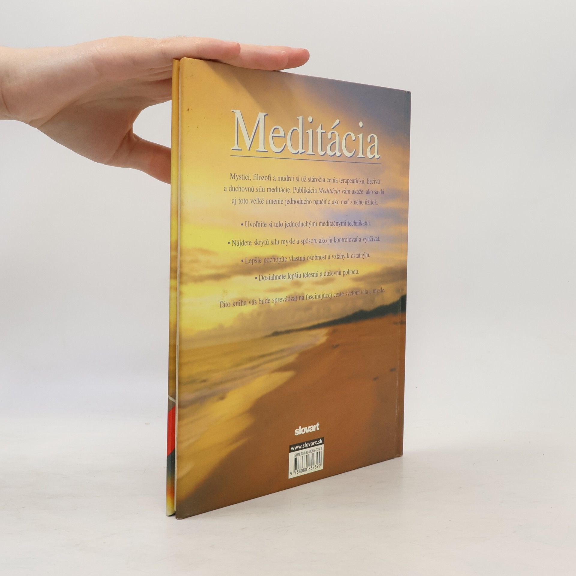 Lorraine Turner Meditácia - Ako objaviť cestu k vnútornej harmónii