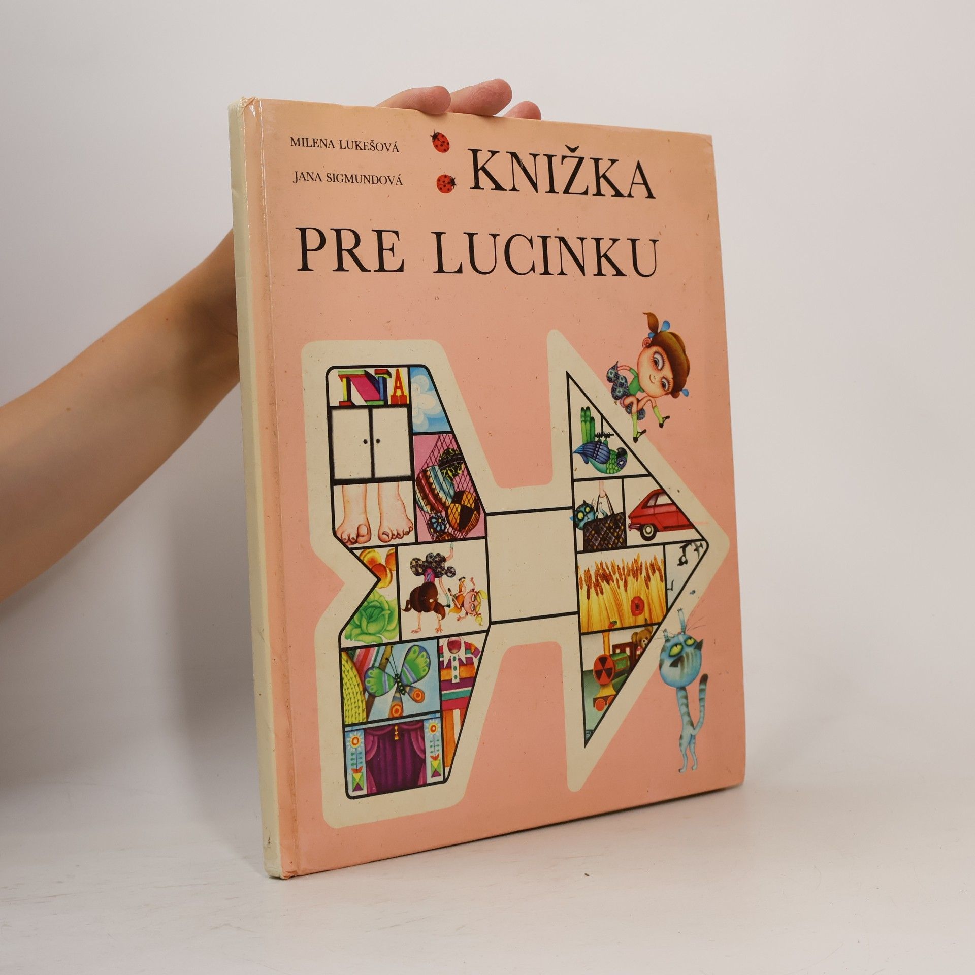 Knižka pre Lucinku