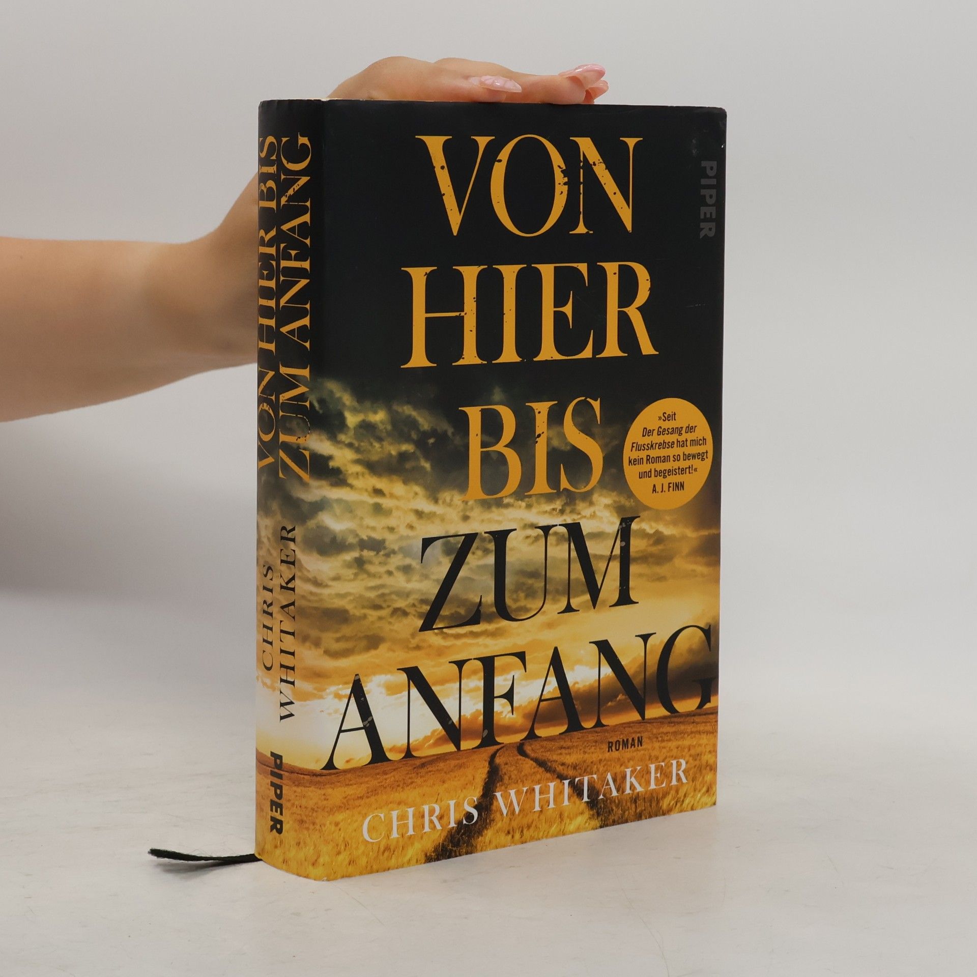 Chris Whitaker Von hier bis zum anfang