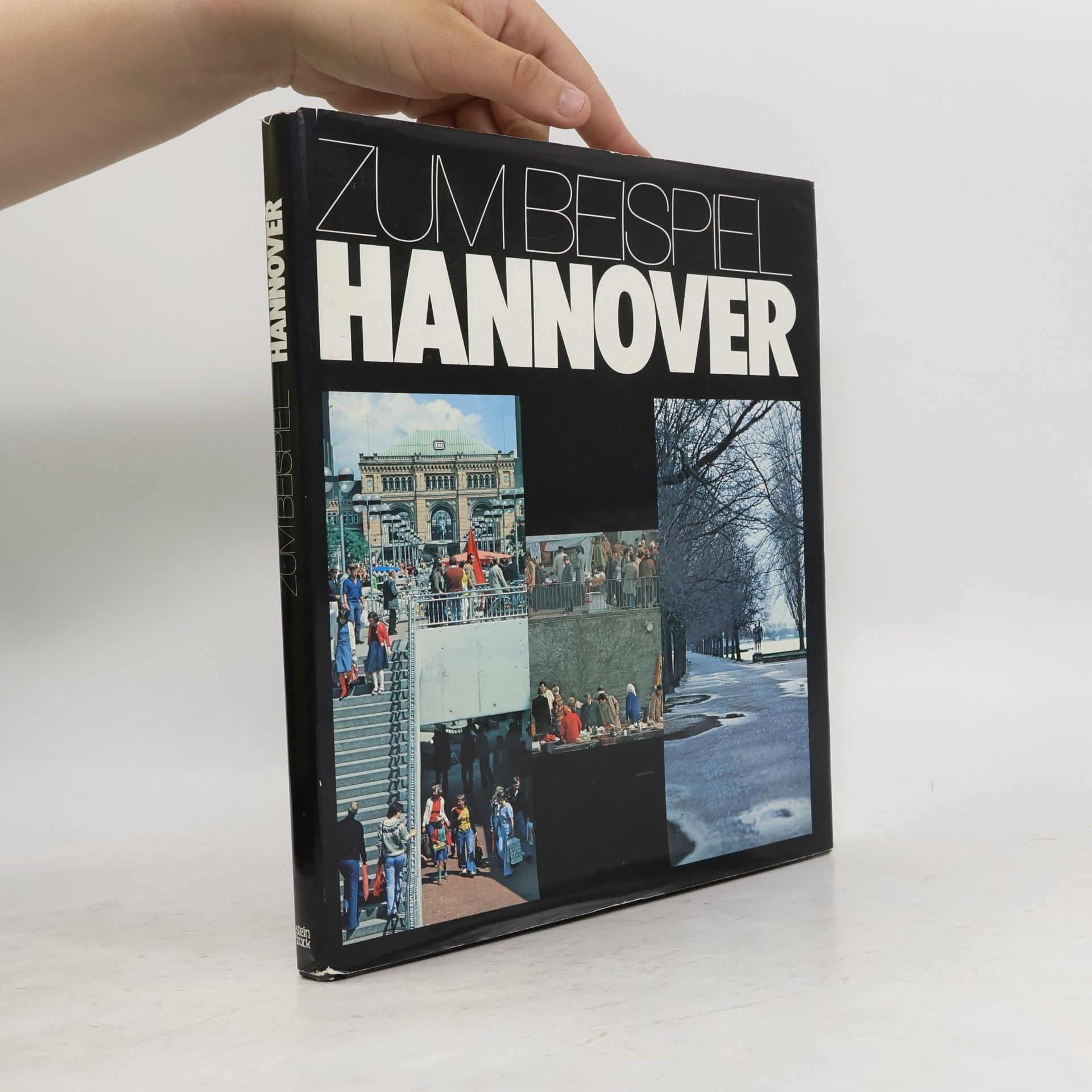 Wolfgang Hausmann Zum Beispiel Hannover