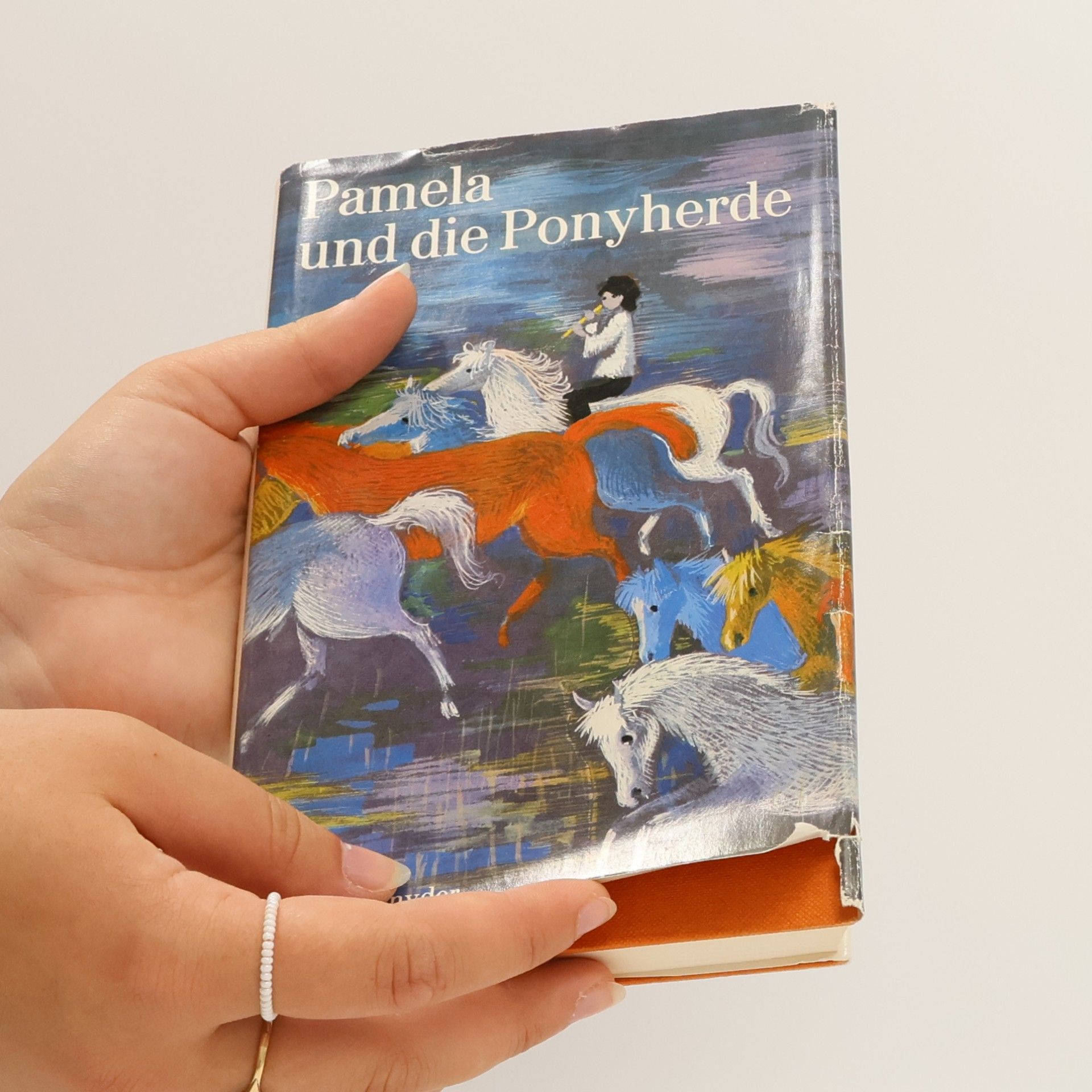 Zilpha Keatley Snyder Pamela und die Ponyherde