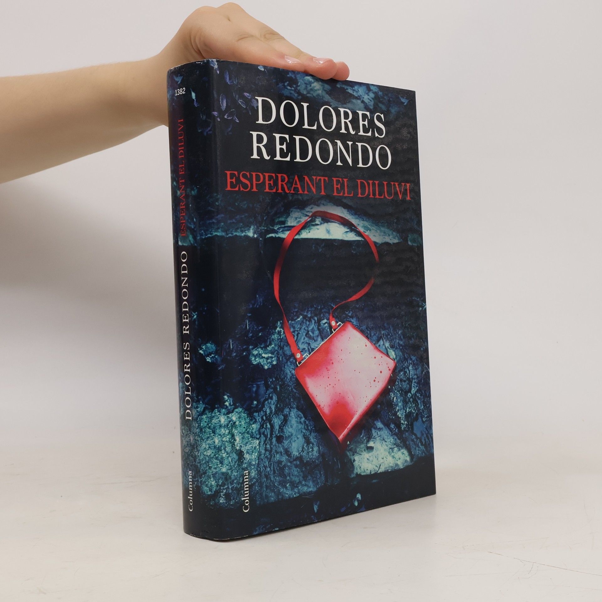 Esperant el diluvi